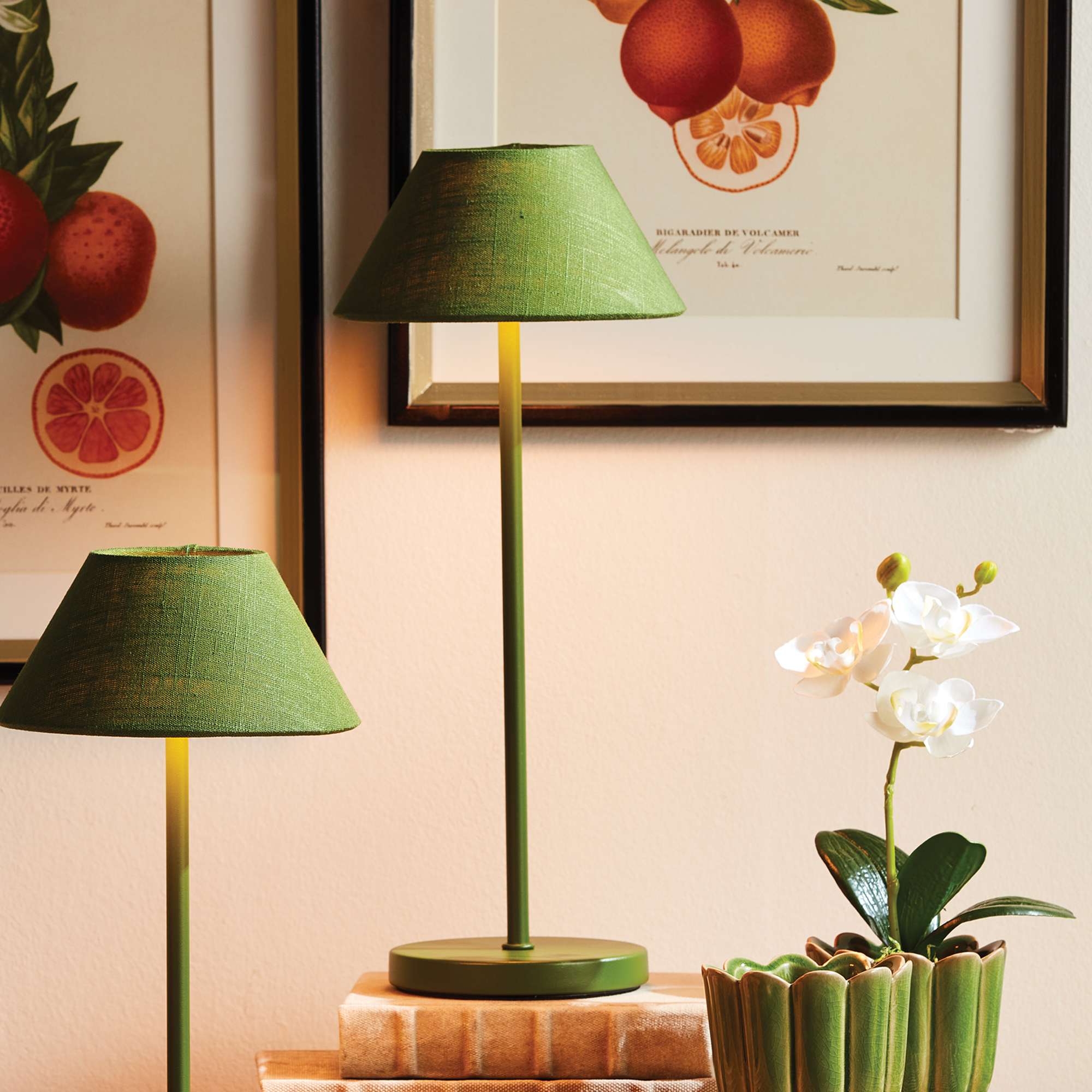 ALLUNA CORDLESS LED LAMP 14" - Image 3