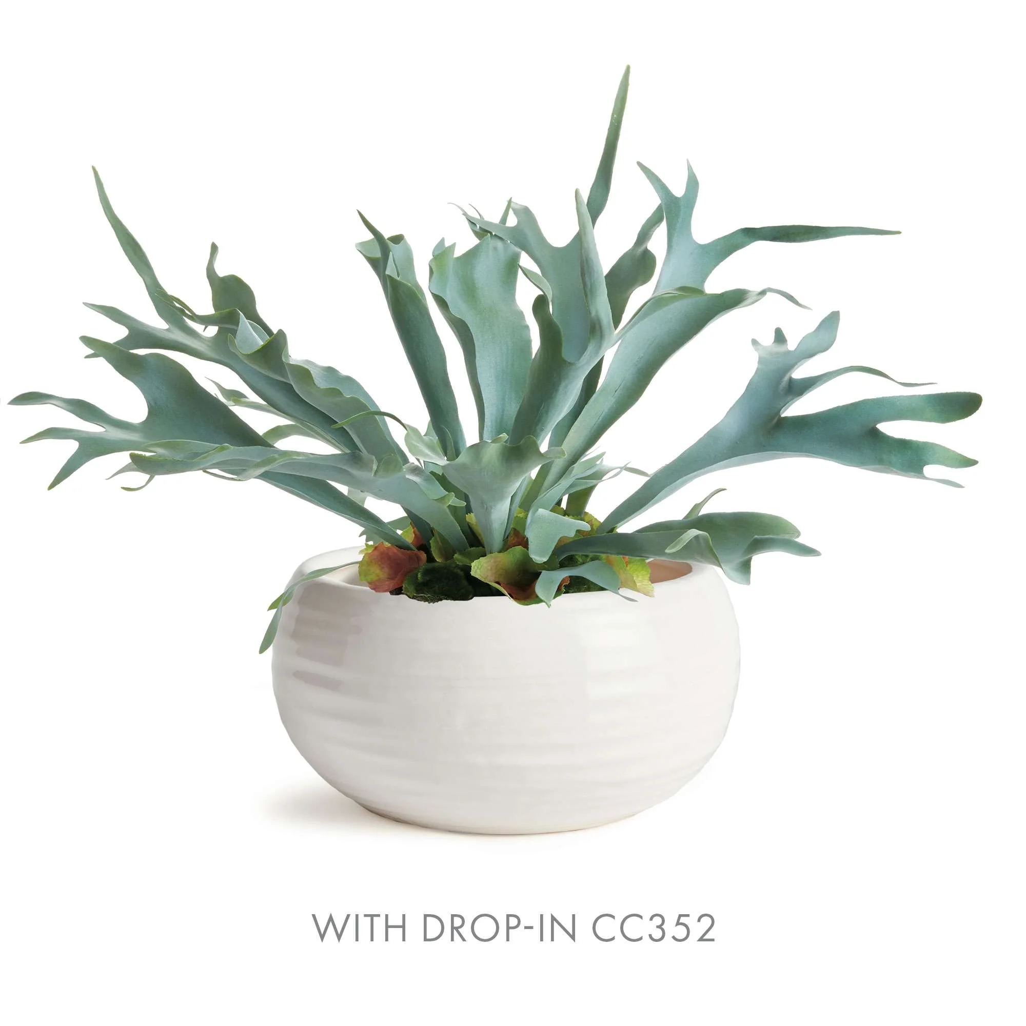 ANDERSON DECORATIVE BOWL - Image 5