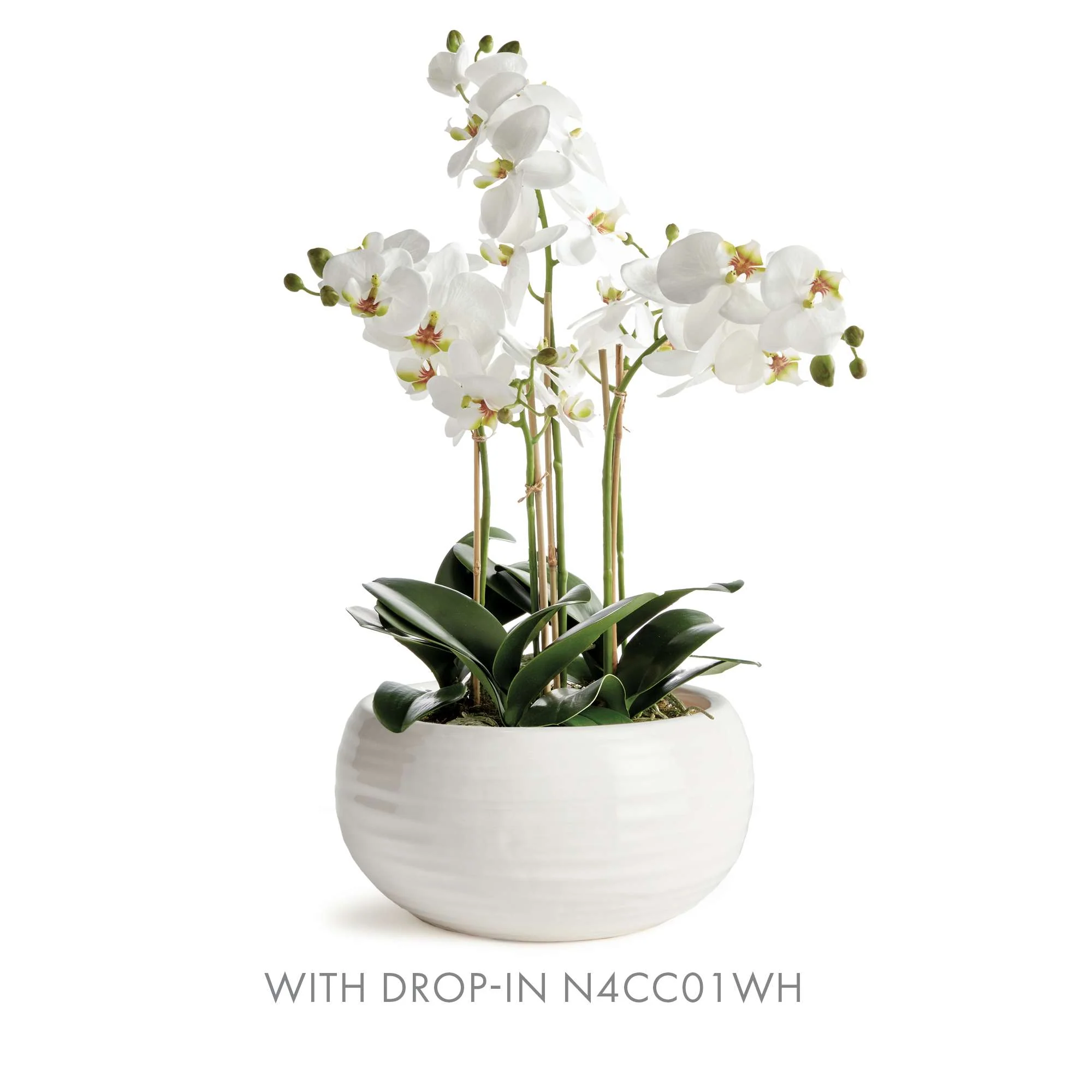 ANDERSON DECORATIVE BOWL - Image 6