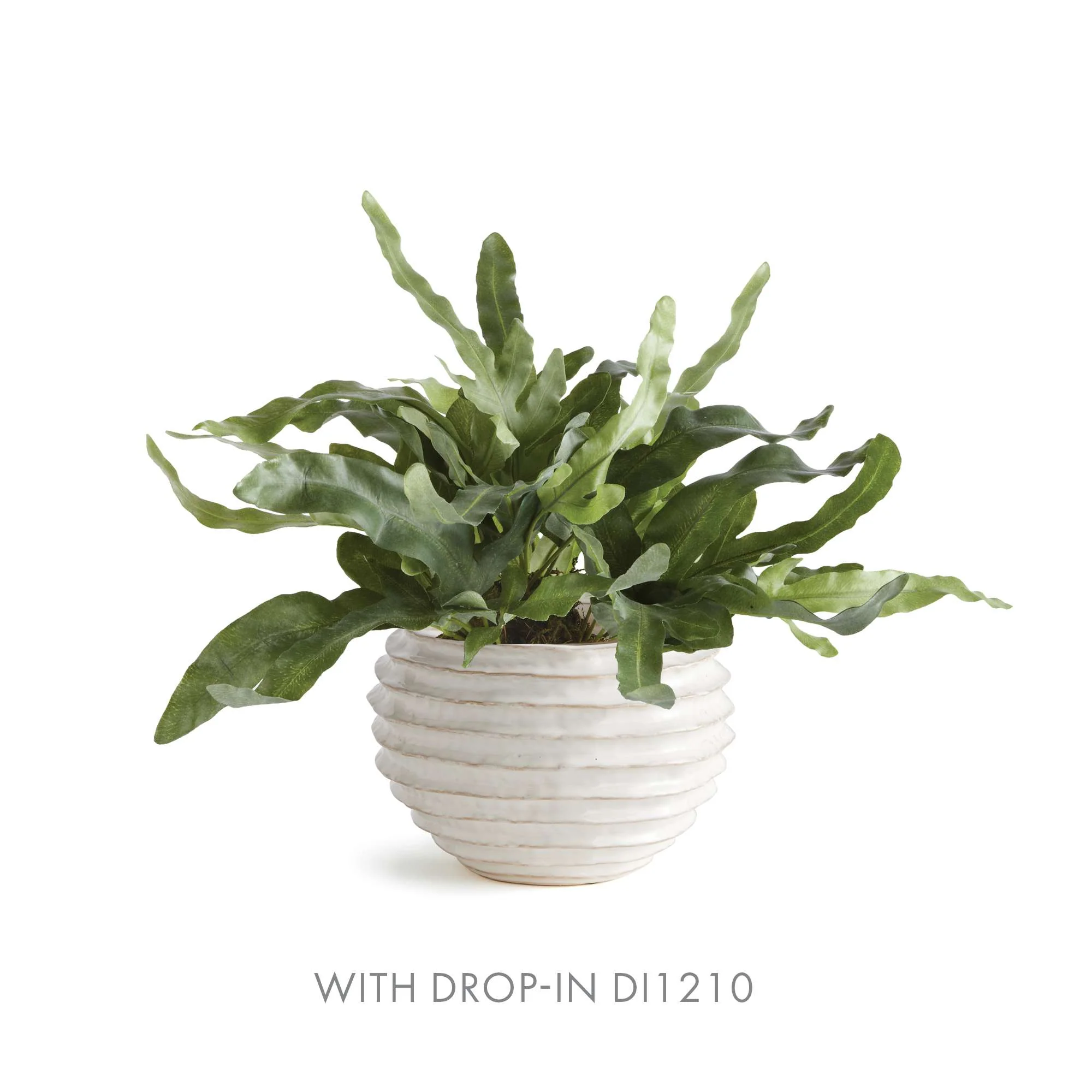 AVANI POT LARGE - Image 6