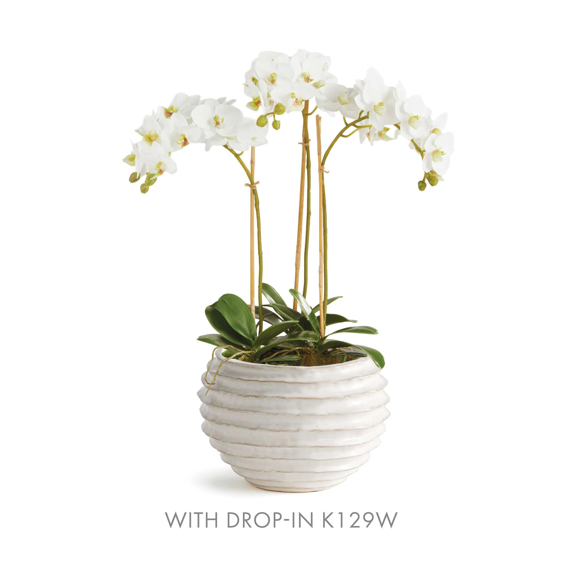 AVANI POT LARGE - Image 7