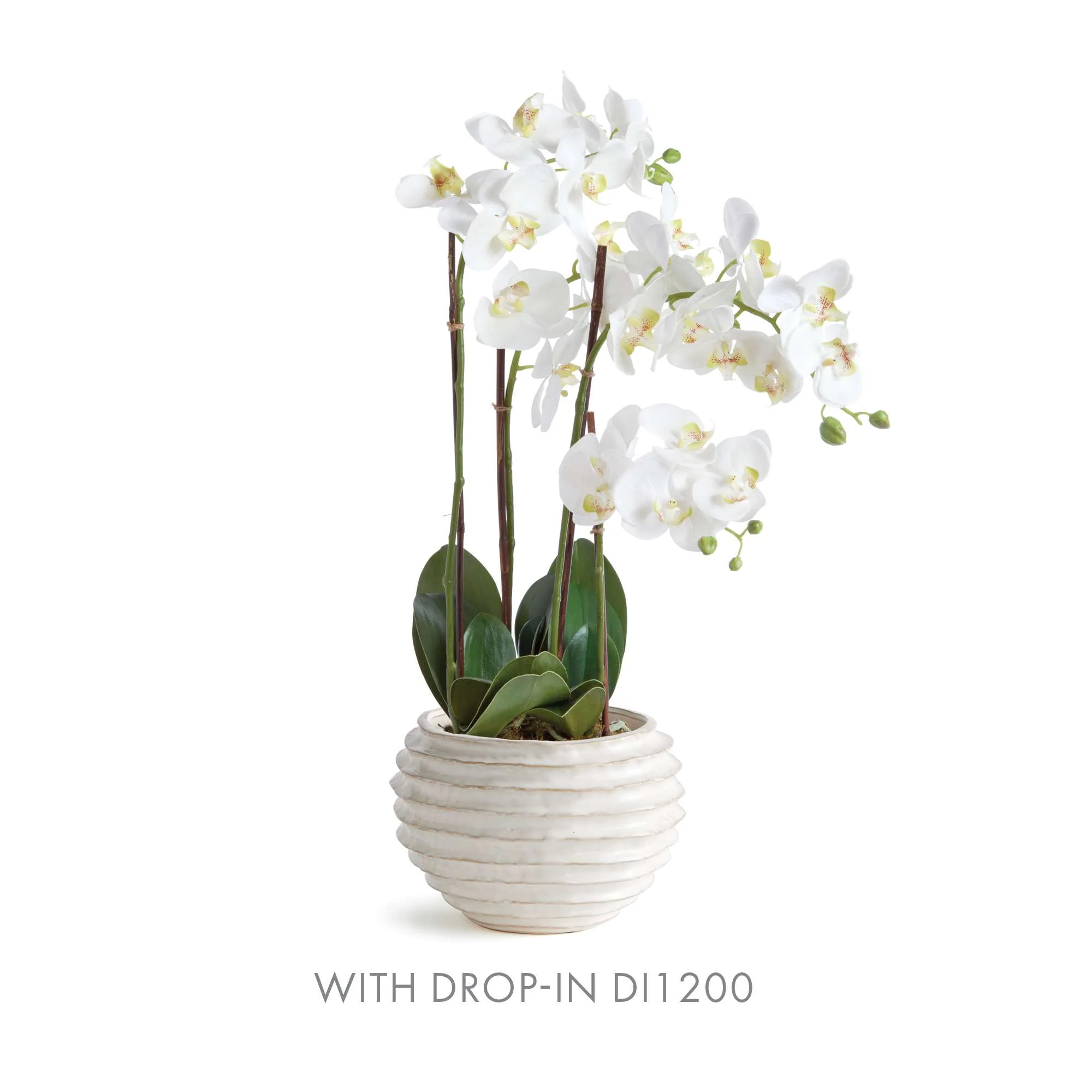AVANI POT LARGE - Image 8