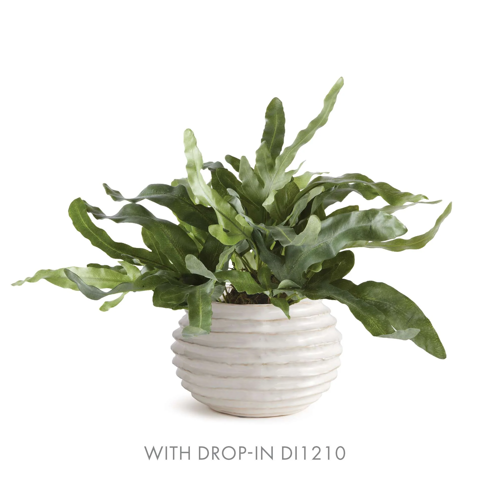 AVANI POT MEDIUM - Image 4