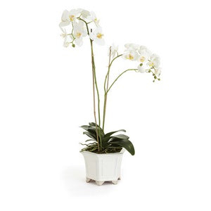 BARCLAY BUTERA PHALAENOPSIS IN CERAMIC POT 31" - Image 3