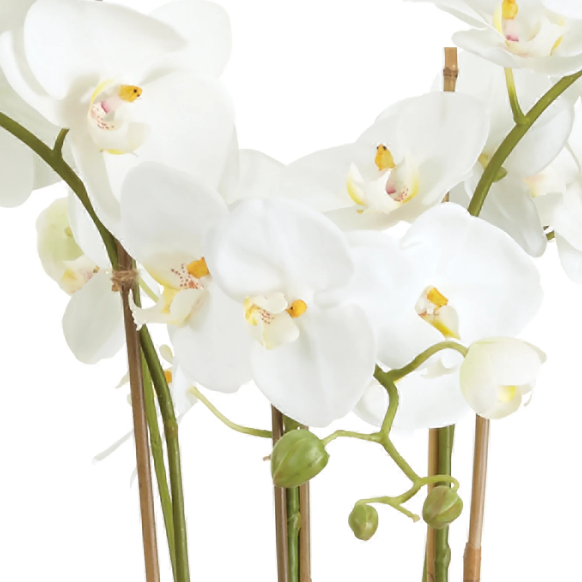 BARCLAY BUTERA PHALAENOPSIS IN CERAMIC BOWL 30" - Image 3