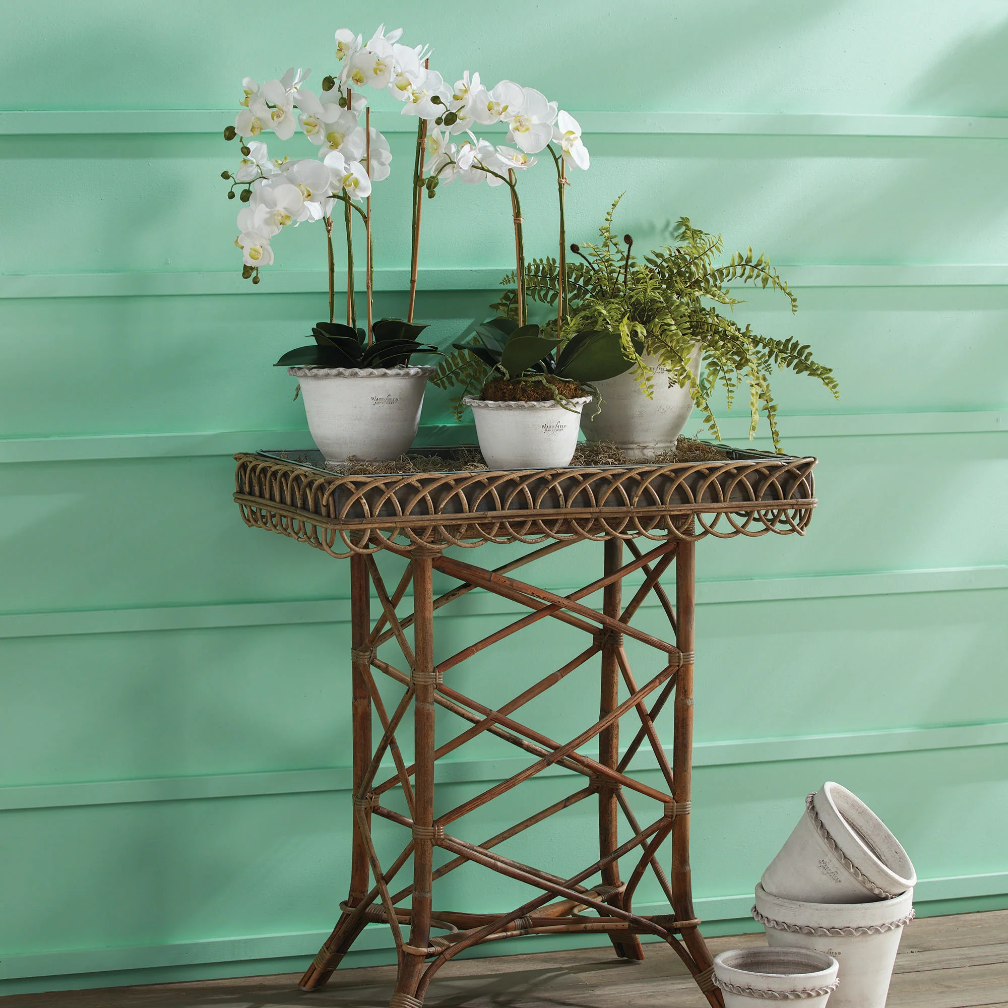BOSTON FERN DROP-IN 16" - Image 5