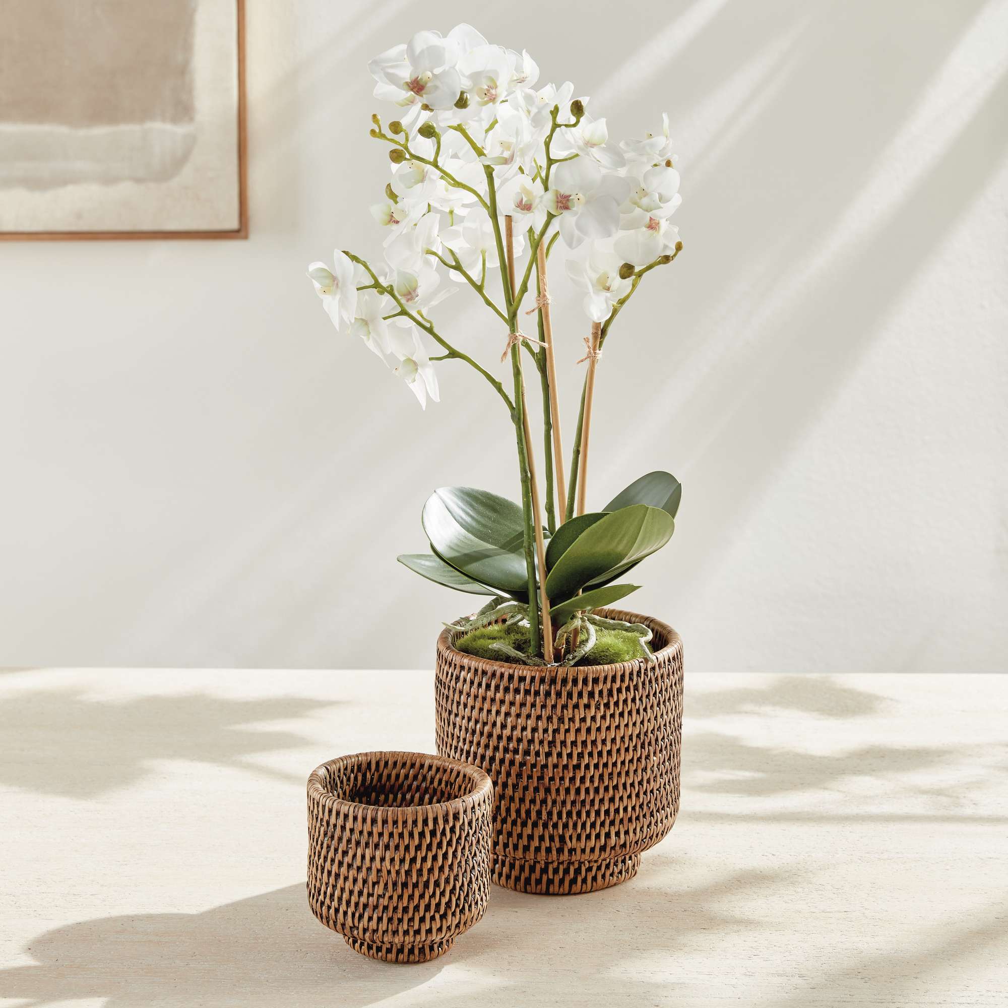 BURMA RATTAN CACHEPOTS SMALL, SET OF 2 - Image 4