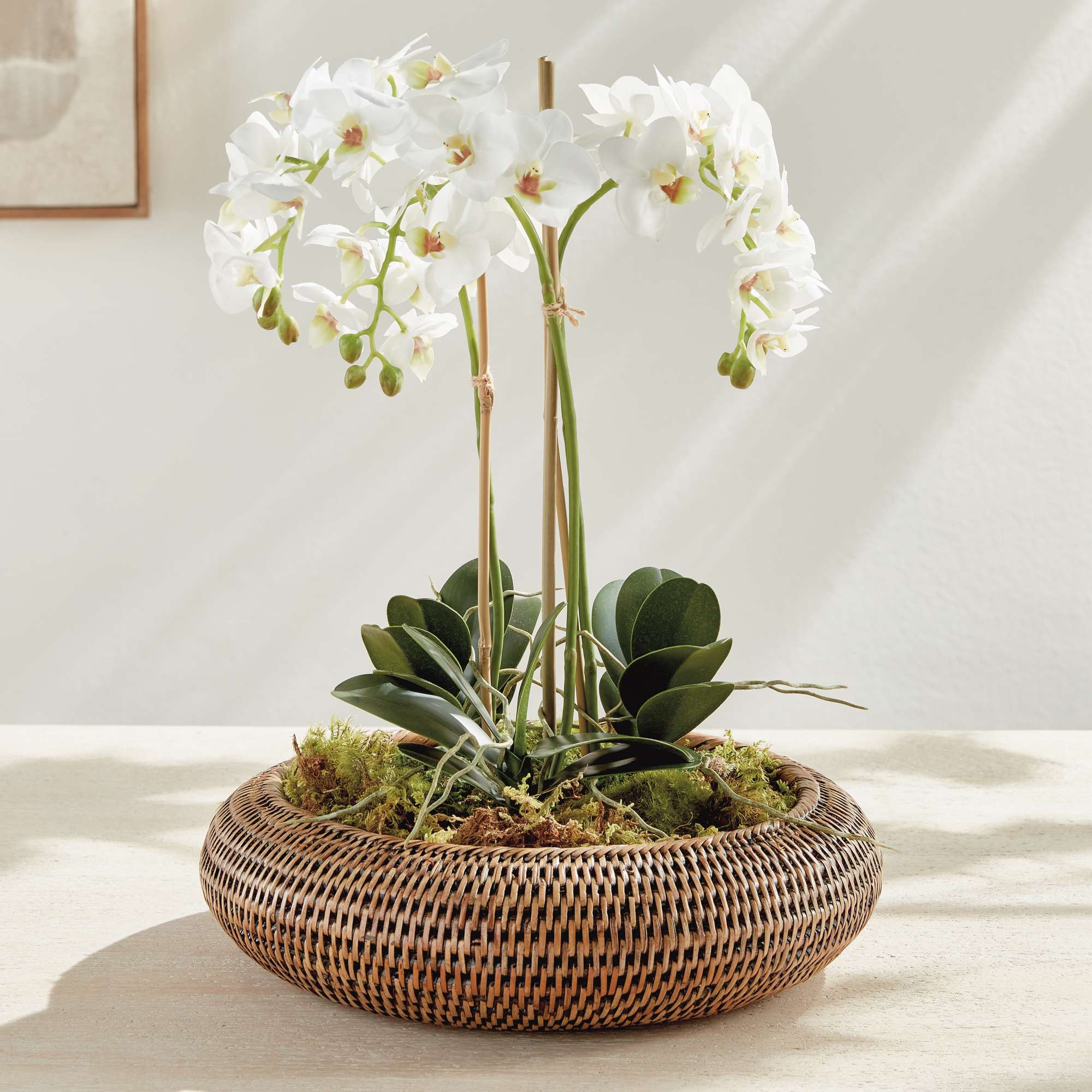 BURMA RATTAN SHALLOW DISPLAY BOWLS, SET OF 2 - Image 5