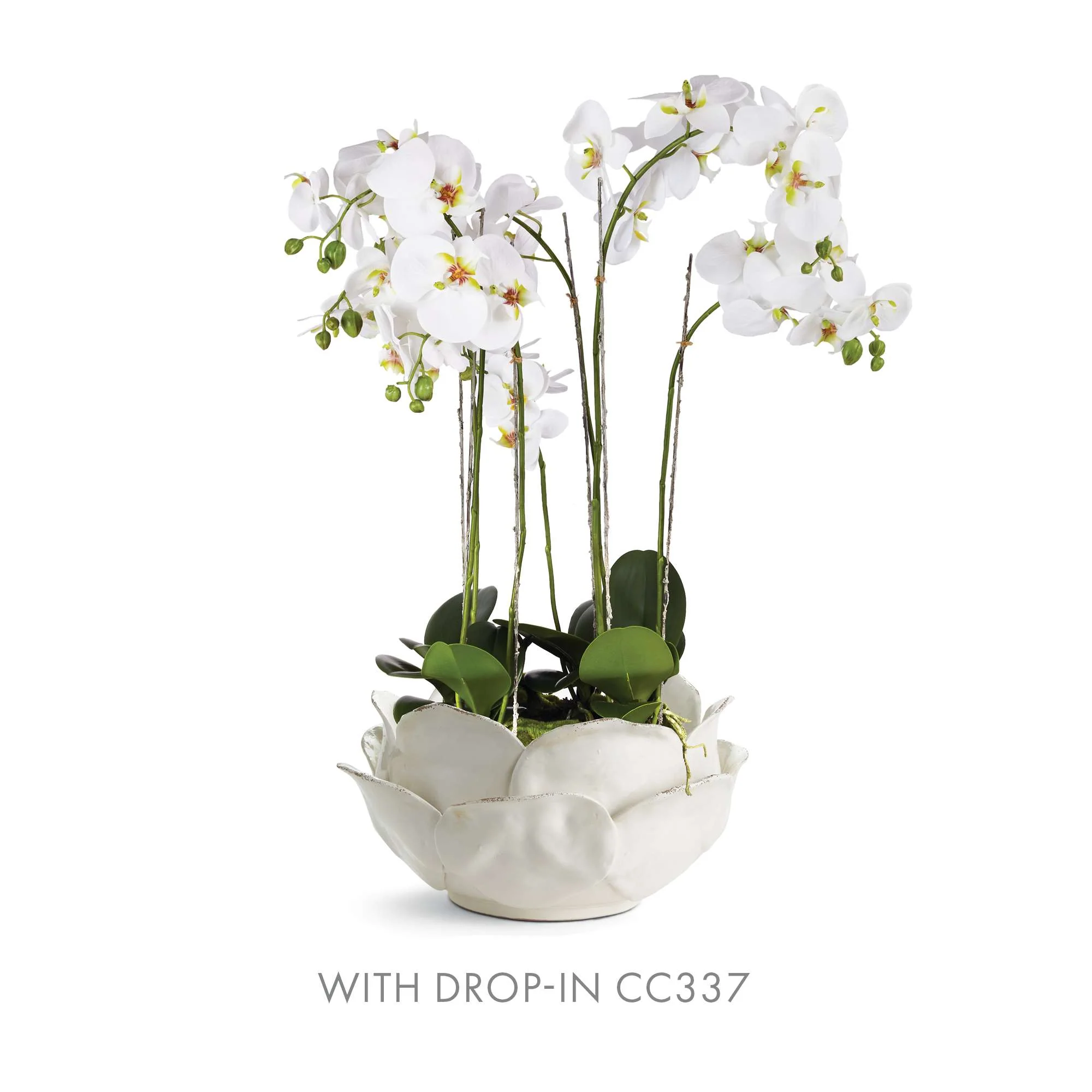 DI ROSA DECORATIVE BOWL - Image 3