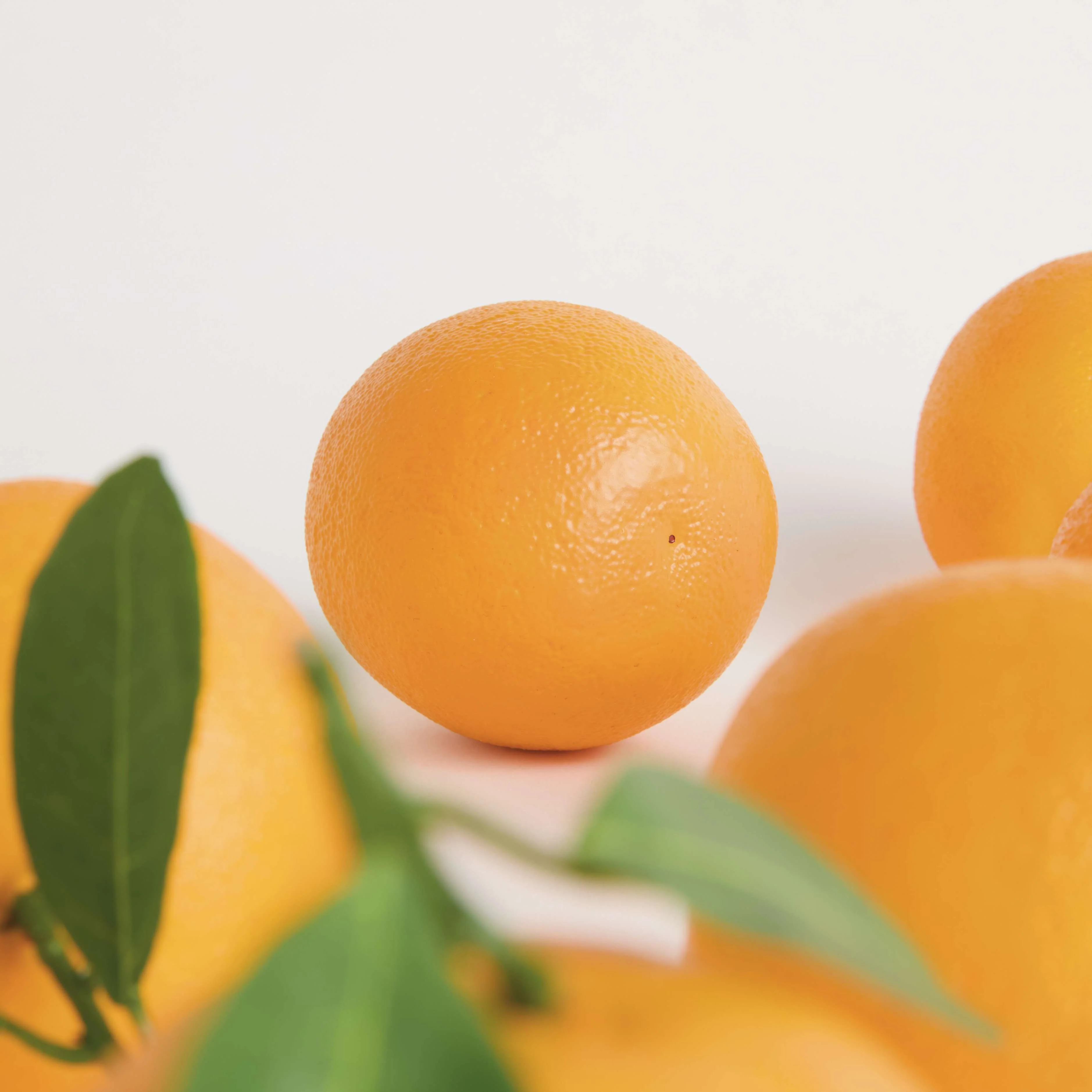 FAUX ORANGES 5" ASSORTED, SET OF 6 - Image 7