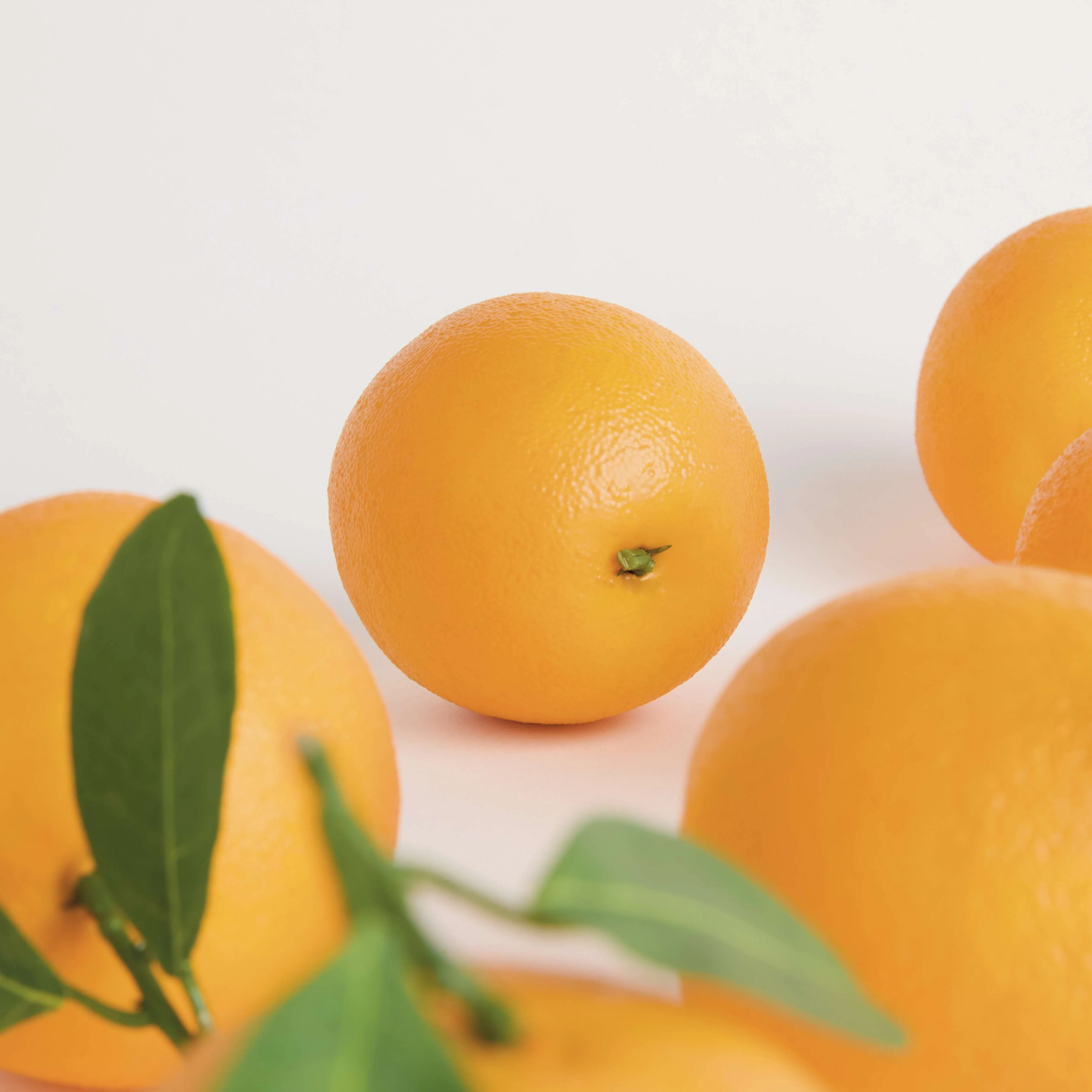 FAUX ORANGES 5" ASSORTED, SET OF 6 - Image 8