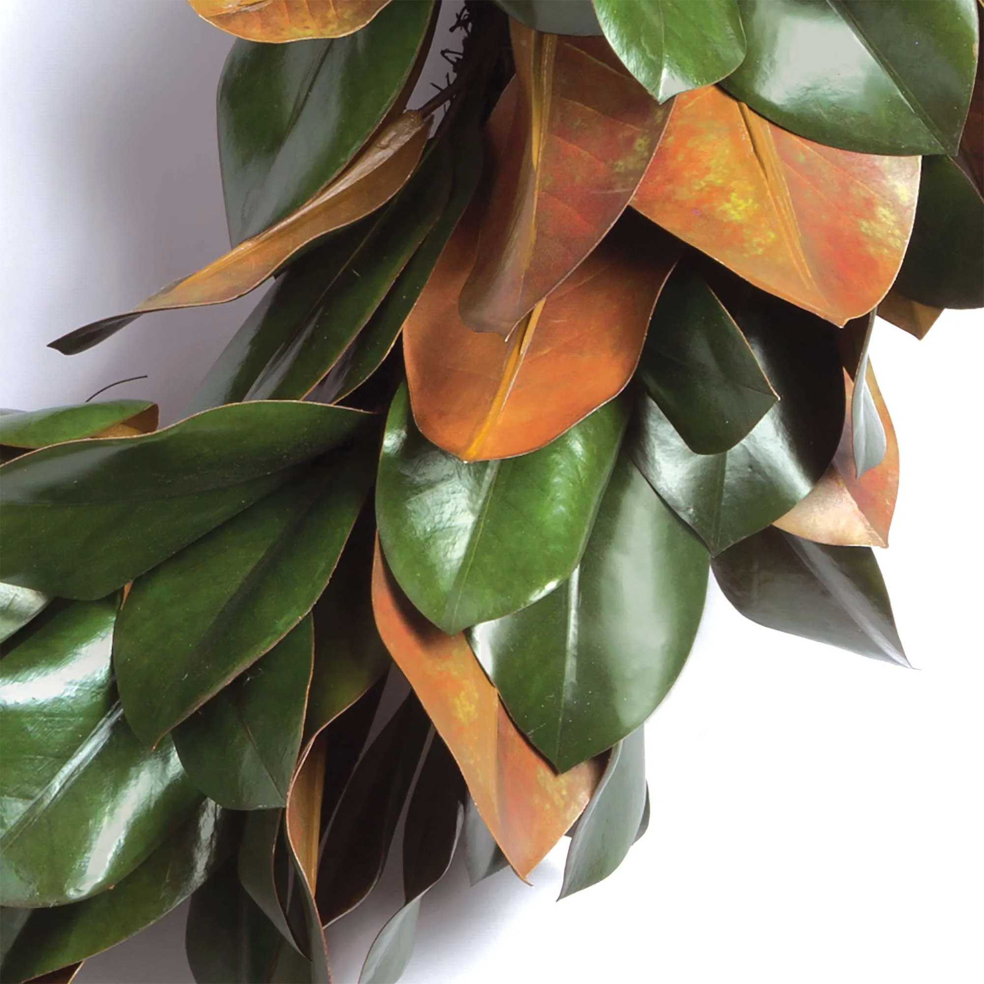GRAND MAGNOLIA LEAF WREATH 24" - Image 3