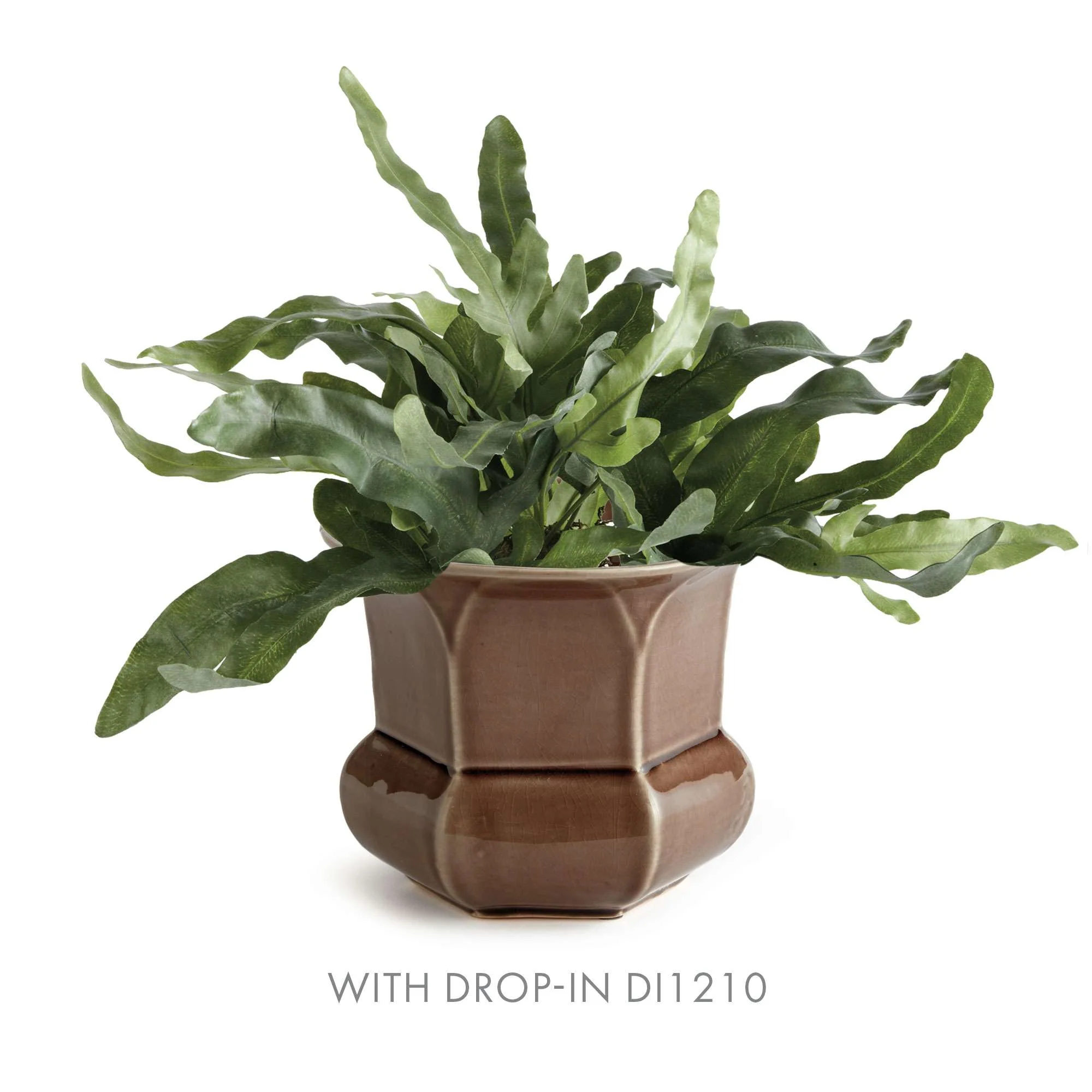 MADISON POT - Image 5