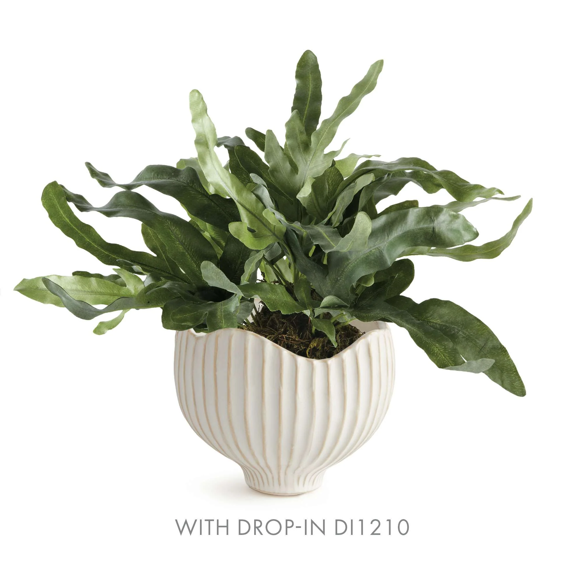MARIANNA POT - Image 6
