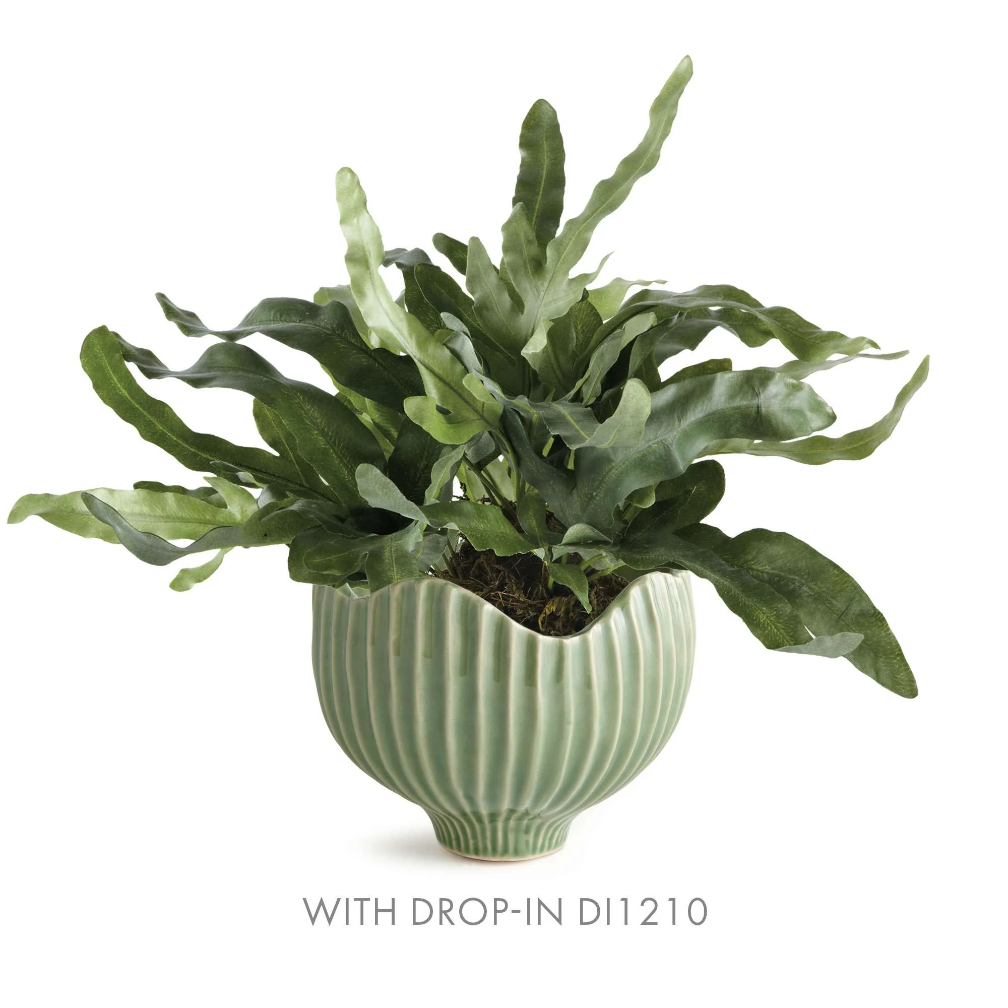 MARIANNA POT - Image 7