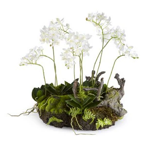 MINI DENDROBIUM WITH RUSTIC DROP-IN 16" - Image 3