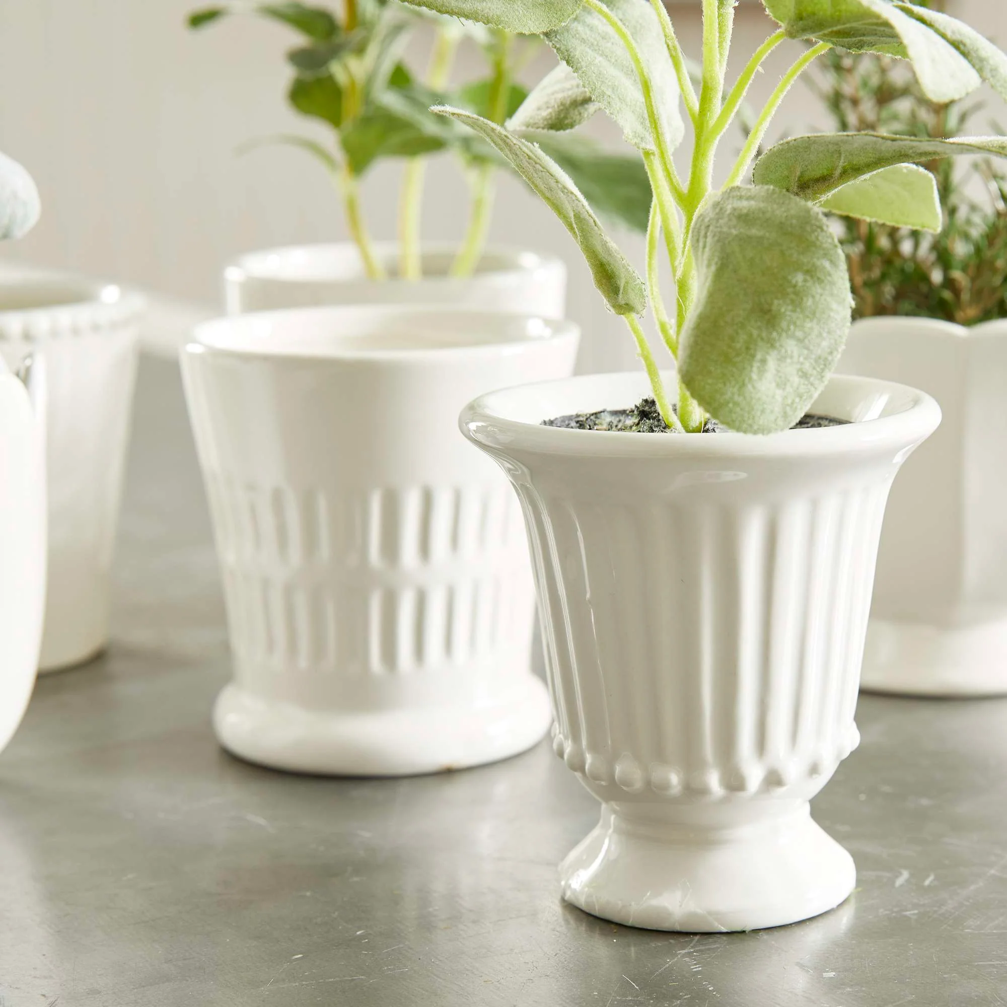 MIRABELLE MINI CACHEPOTS, SET OF 6 - Image 12