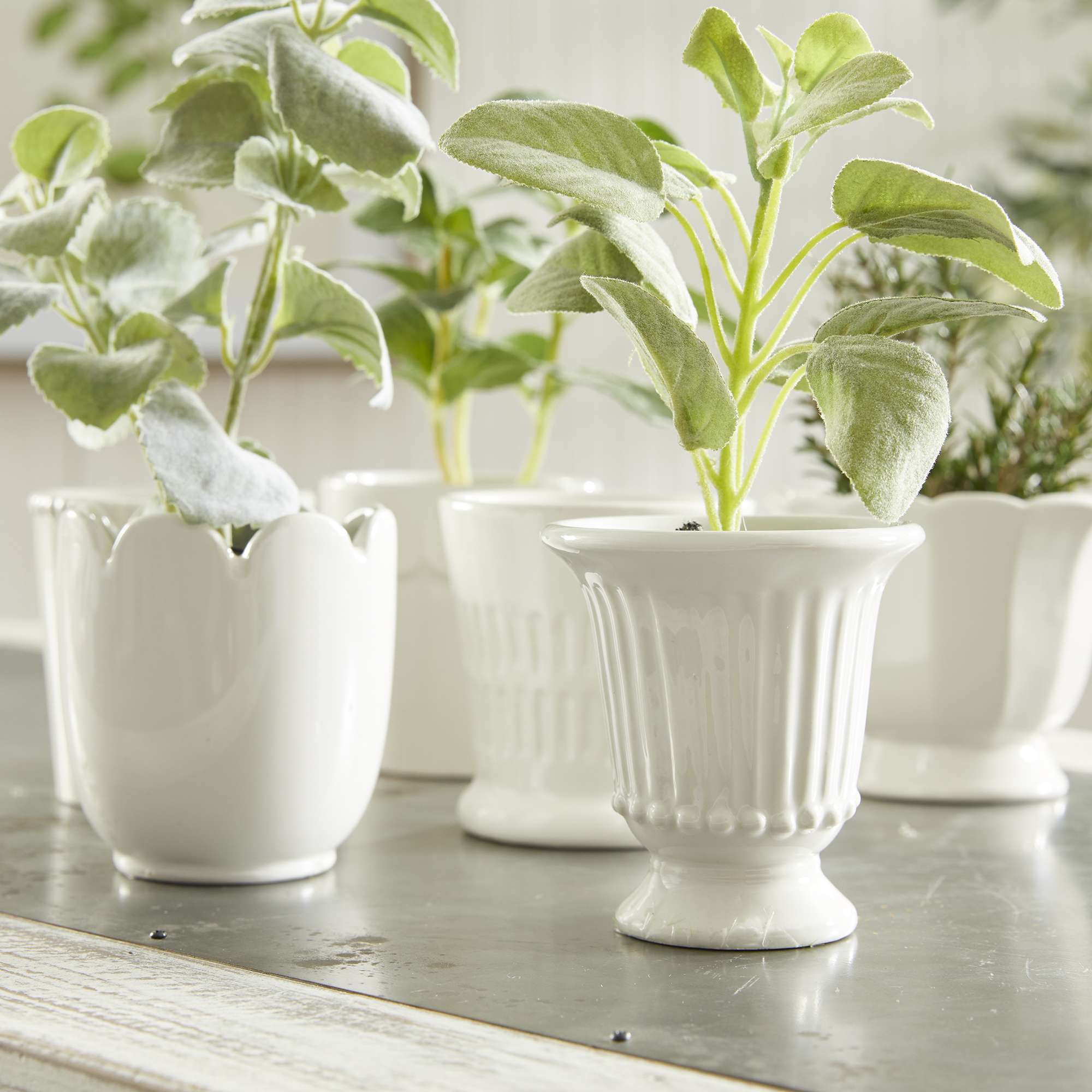 MIRABELLE MINI CACHEPOTS, SET OF 6 - Image 13