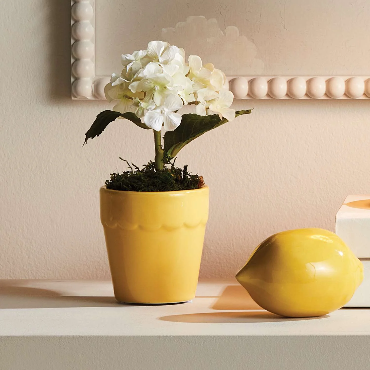 MIRABELLE MINI CACHEPOTS, SET OF 6 - Image 2