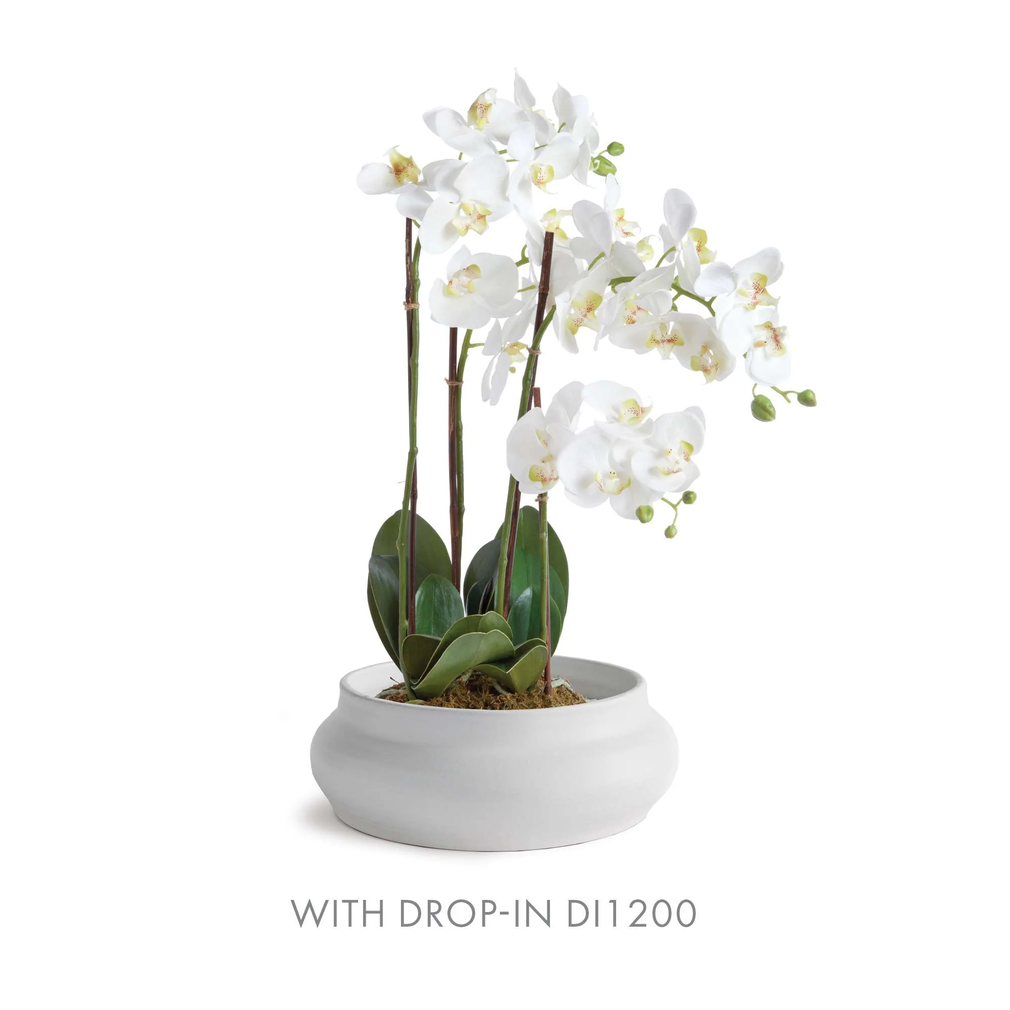 MIRELA DECORATIVE BOWL - Image 11