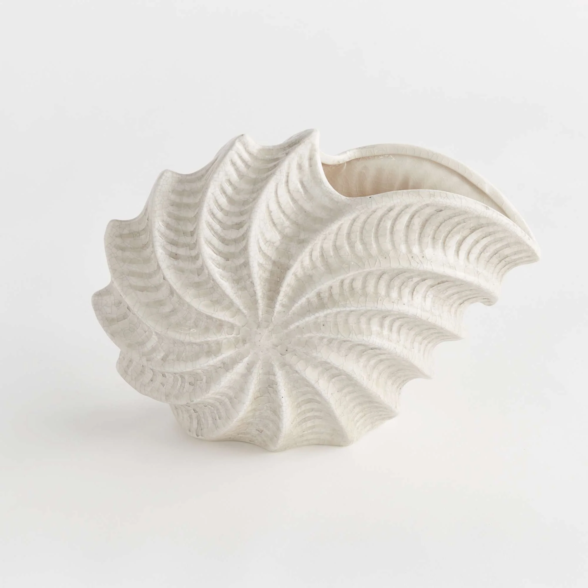 NAUTILUS SHELL VASE - Image 3