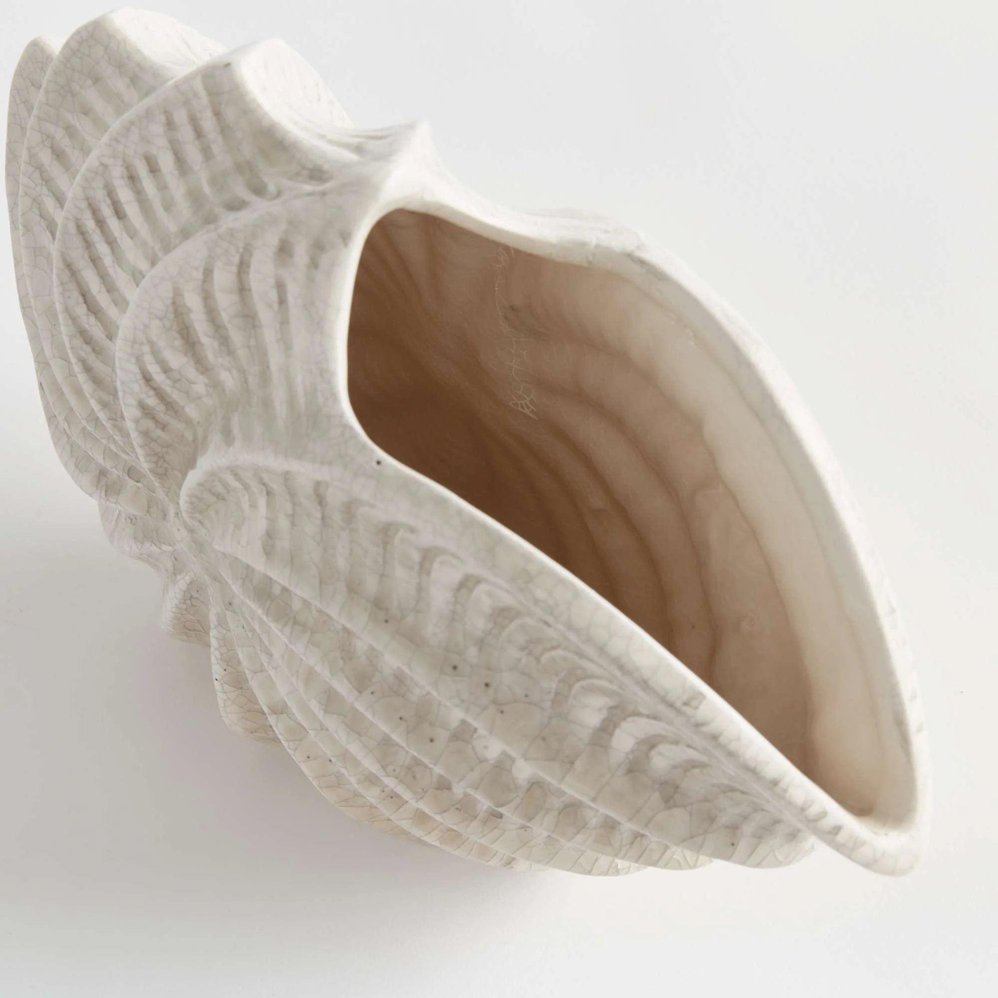 NAUTILUS SHELL VASE - Image 4