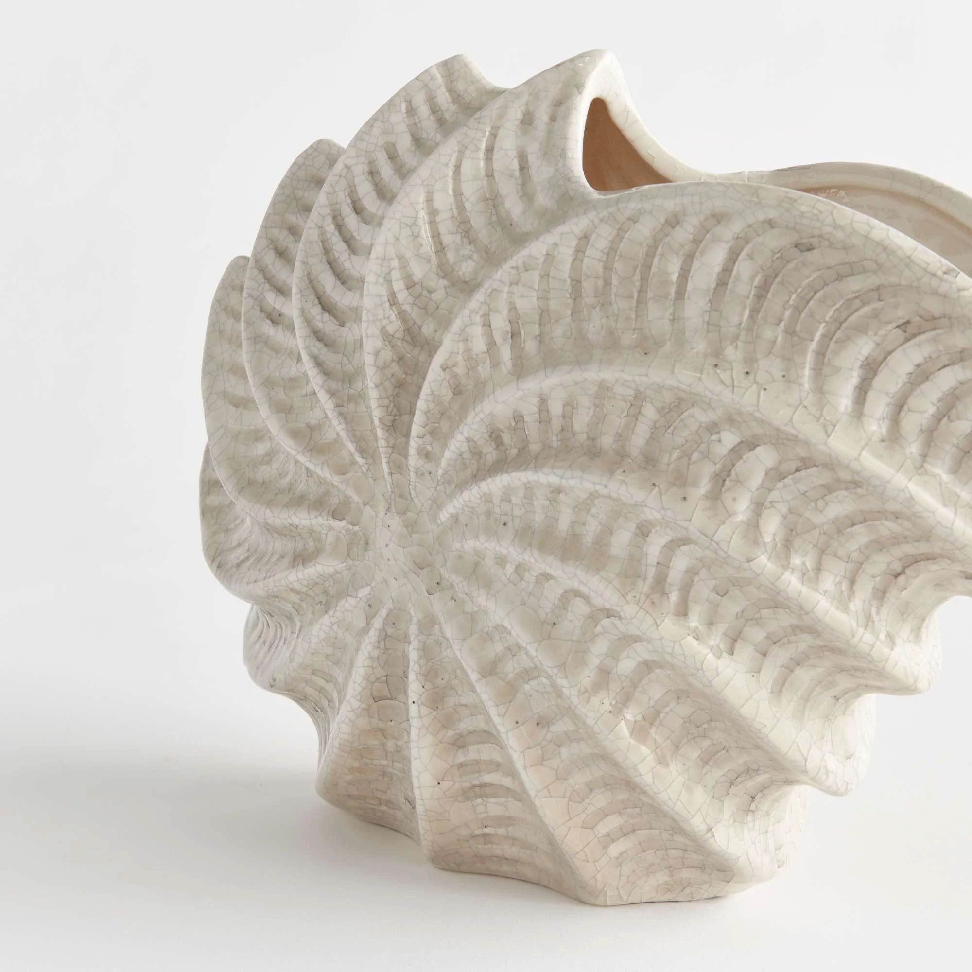 NAUTILUS SHELL VASE - Image 5