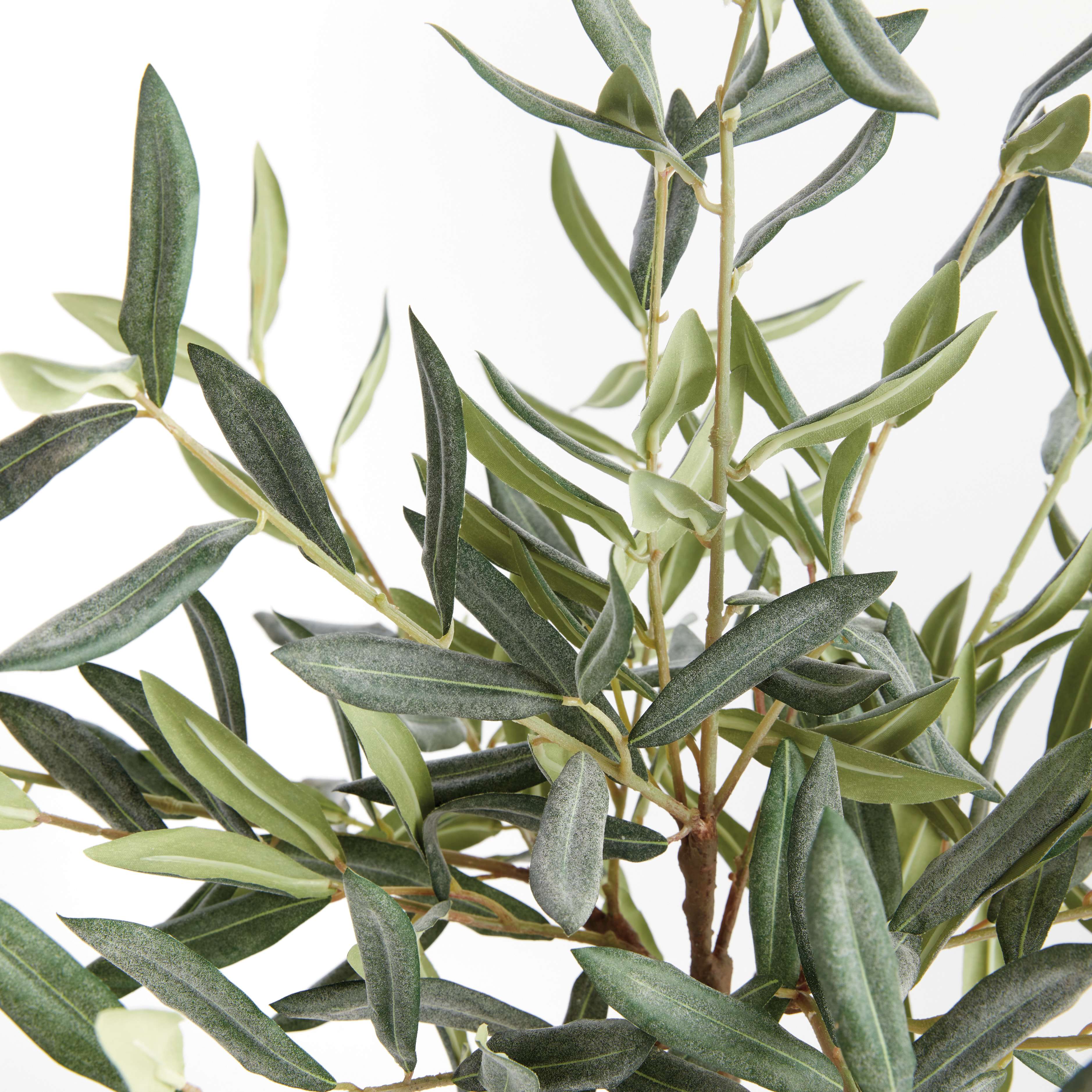 OLIVE TREE DROP-IN 17.5" - Image 3