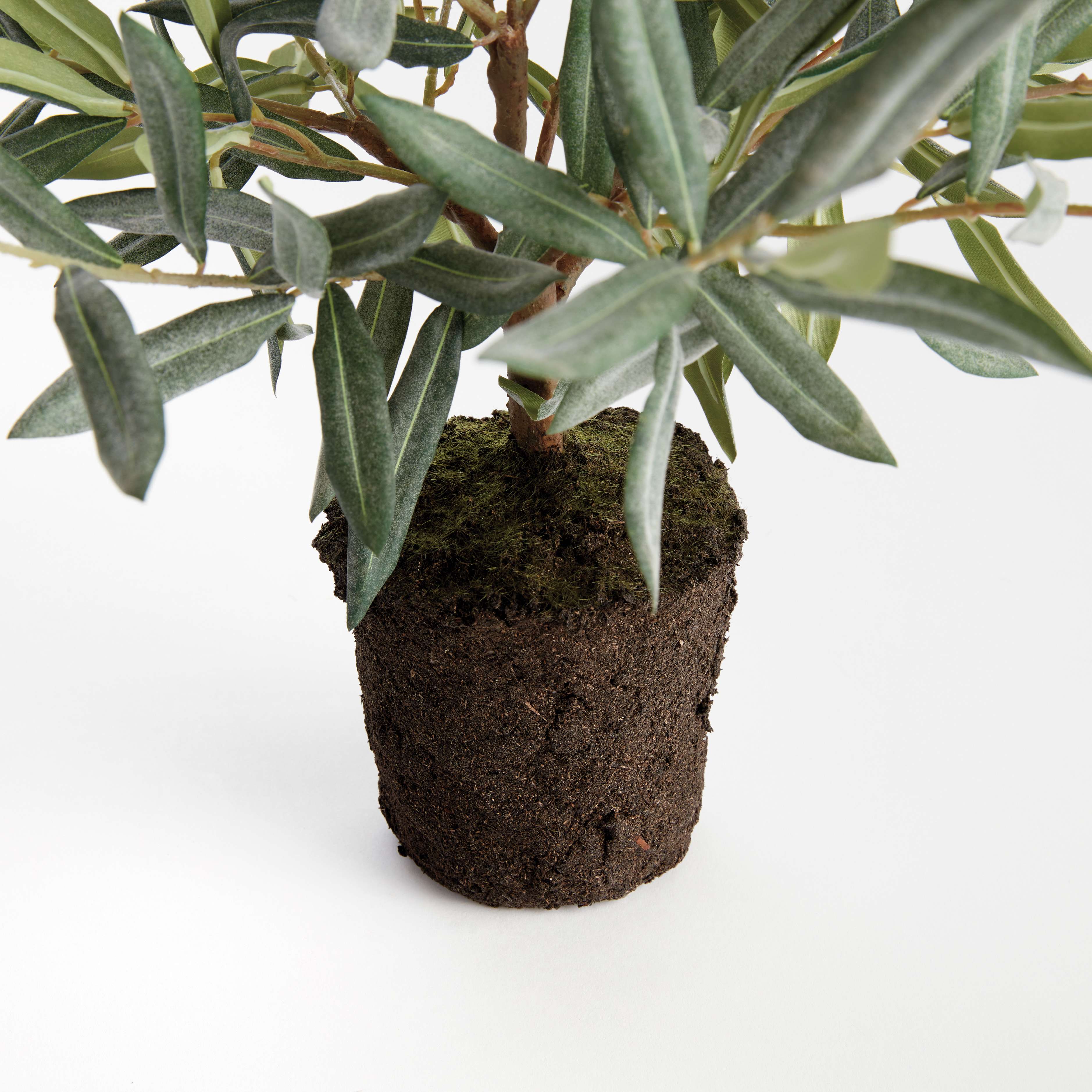 OLIVE TREE DROP-IN 17.5" - Image 4