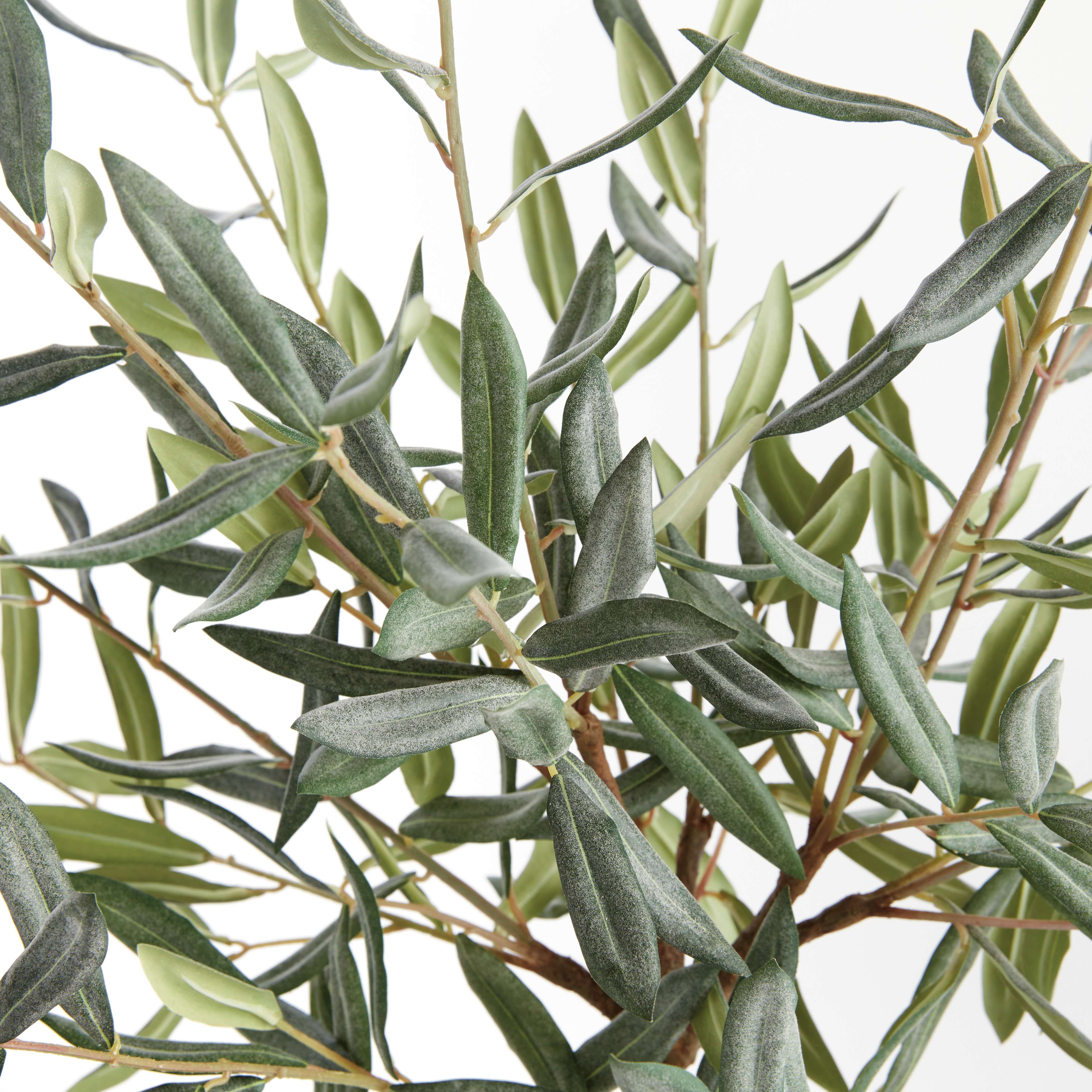 OLIVE TREE DROP-IN 26" - Image 4