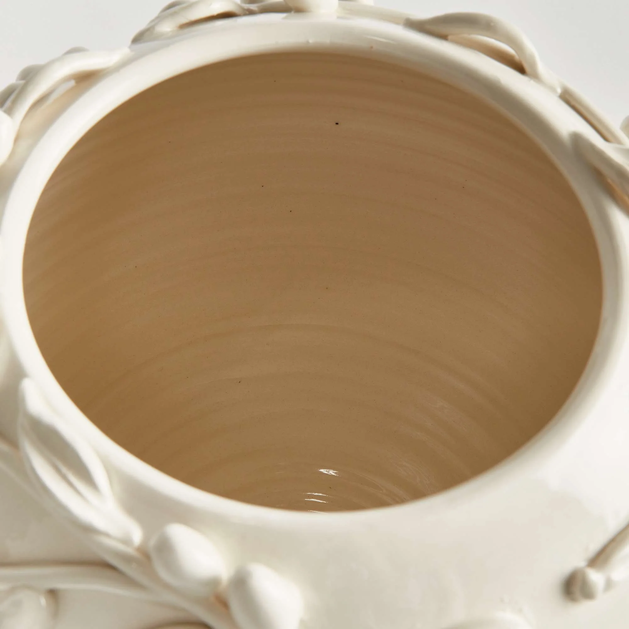 OLIVELLA VASE - Image 4