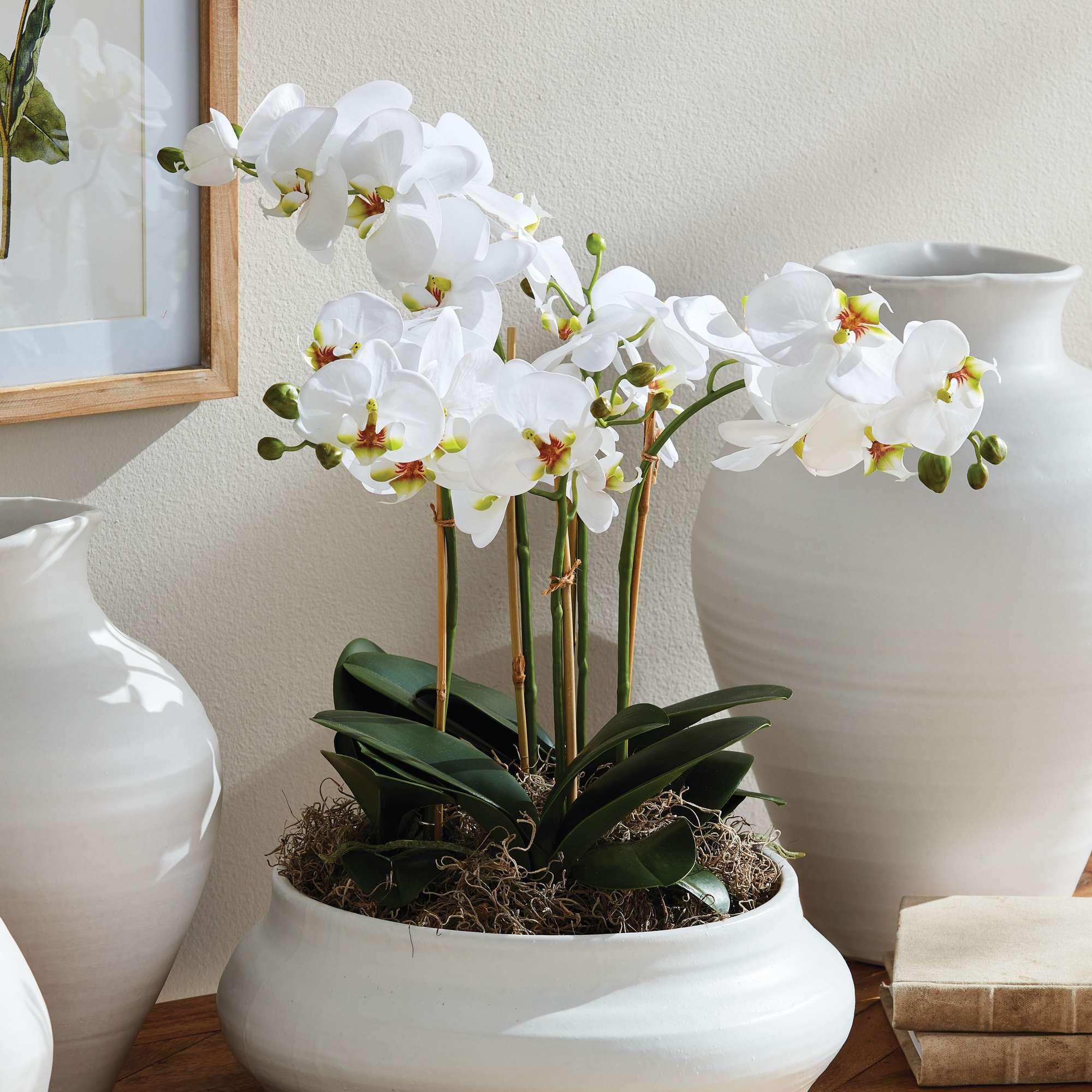 PHALAENOPSIS ORCHID BOWL DROP-IN 20" - Image 2