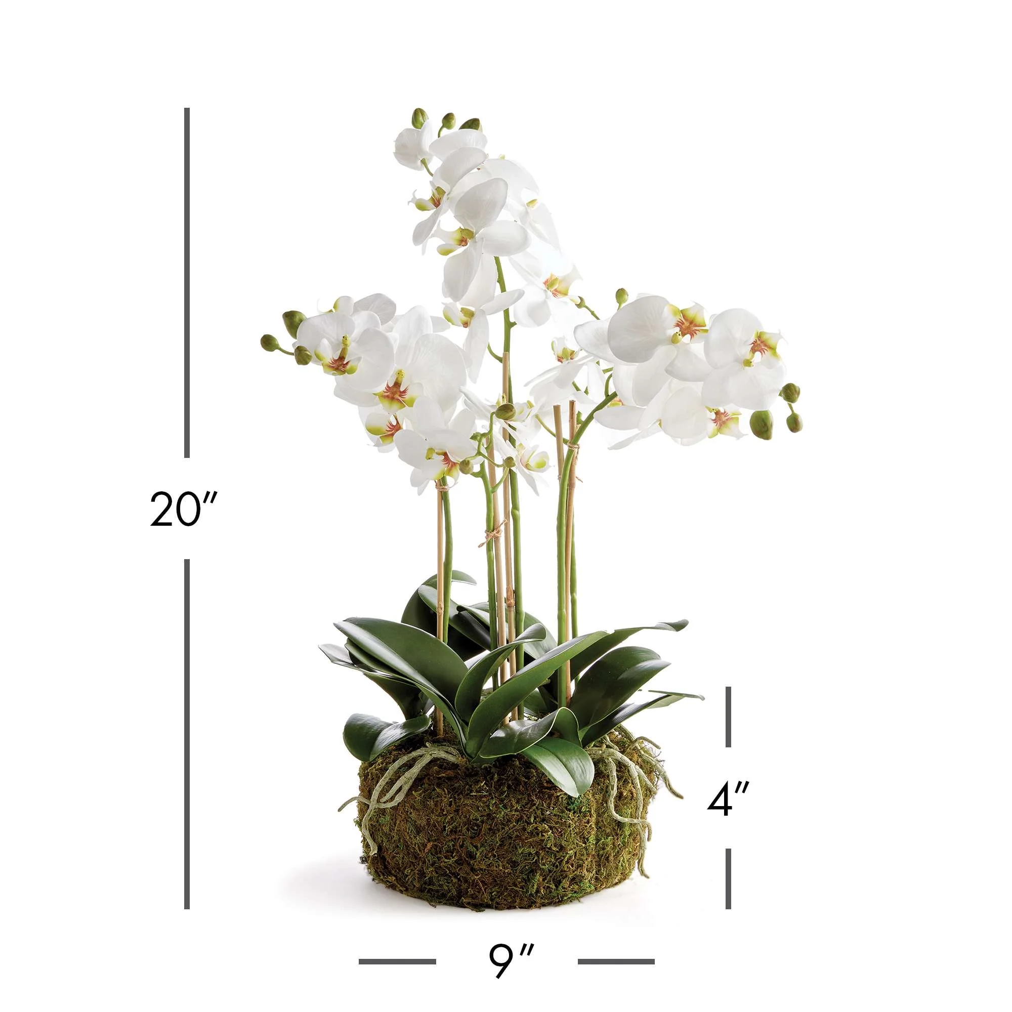PHALAENOPSIS ORCHID BOWL DROP-IN 20" - Image 3
