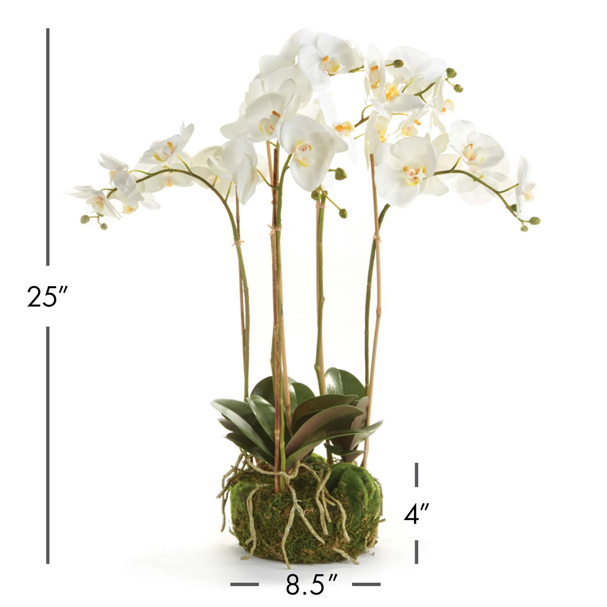 PHALAENOPSIS ORCHID BOWL DROP-IN 25" - Image 3