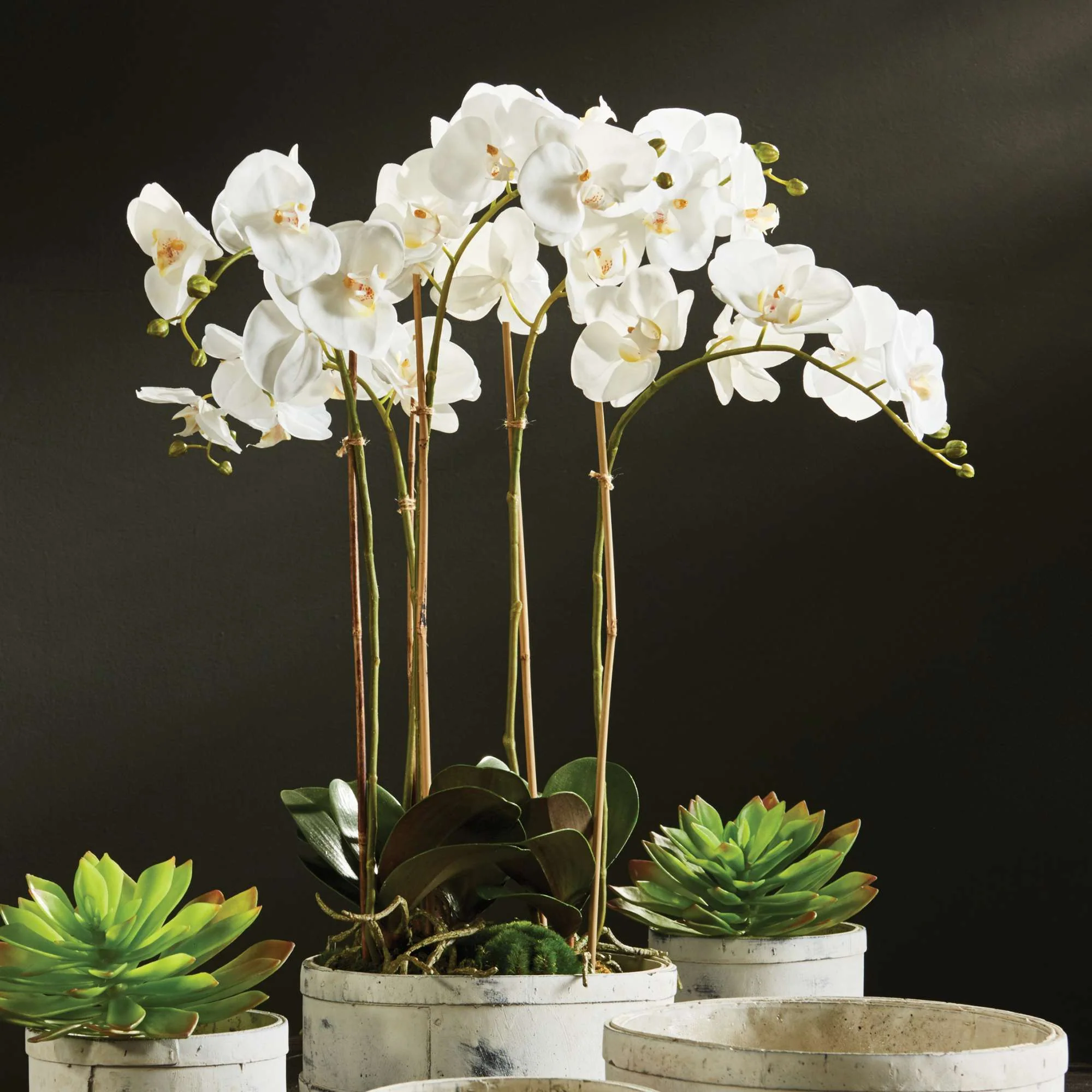 PHALAENOPSIS ORCHID BOWL DROP-IN 25" - Image 4