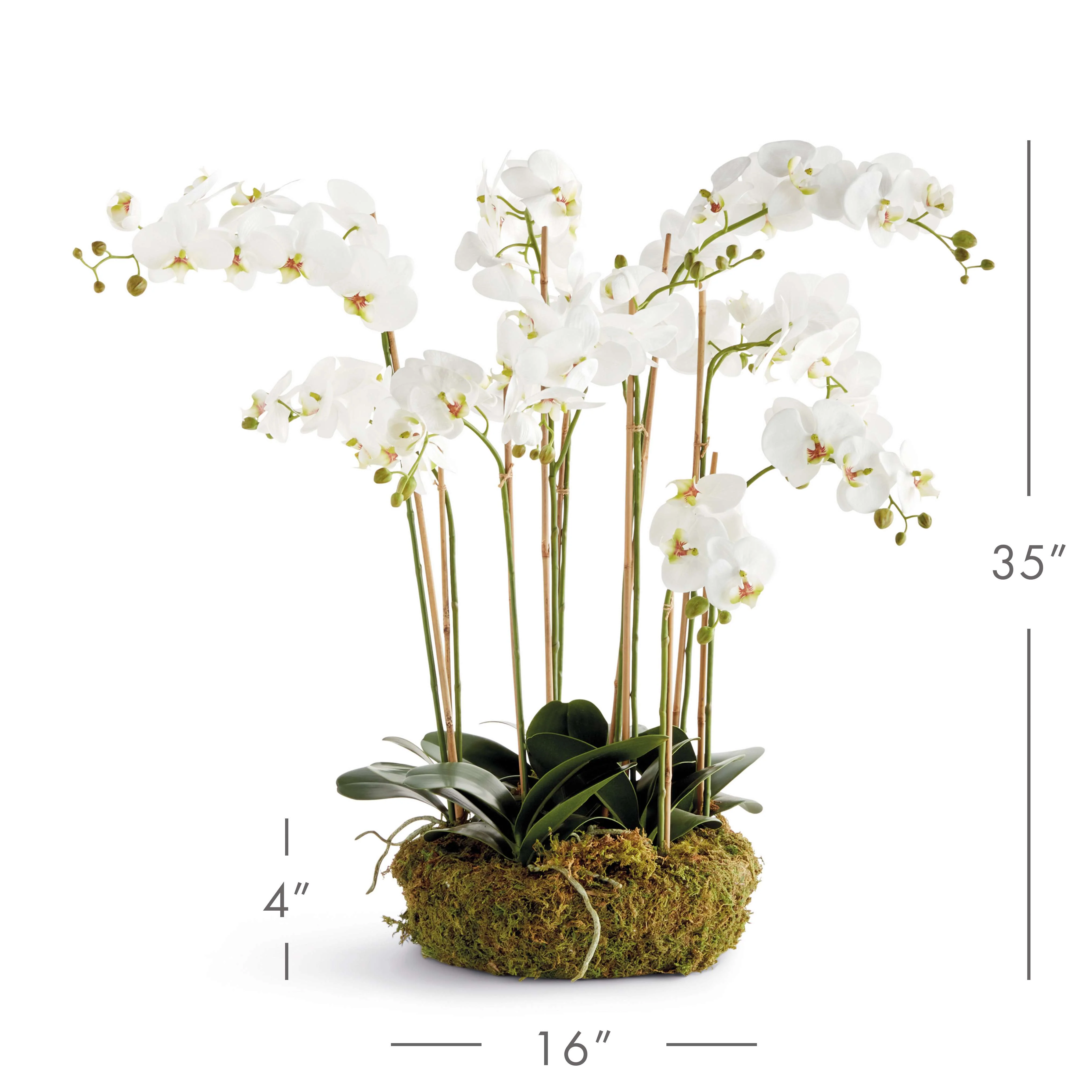 PHALAENOPSIS ORCHID BOWL DROP-IN 35" - Image 3
