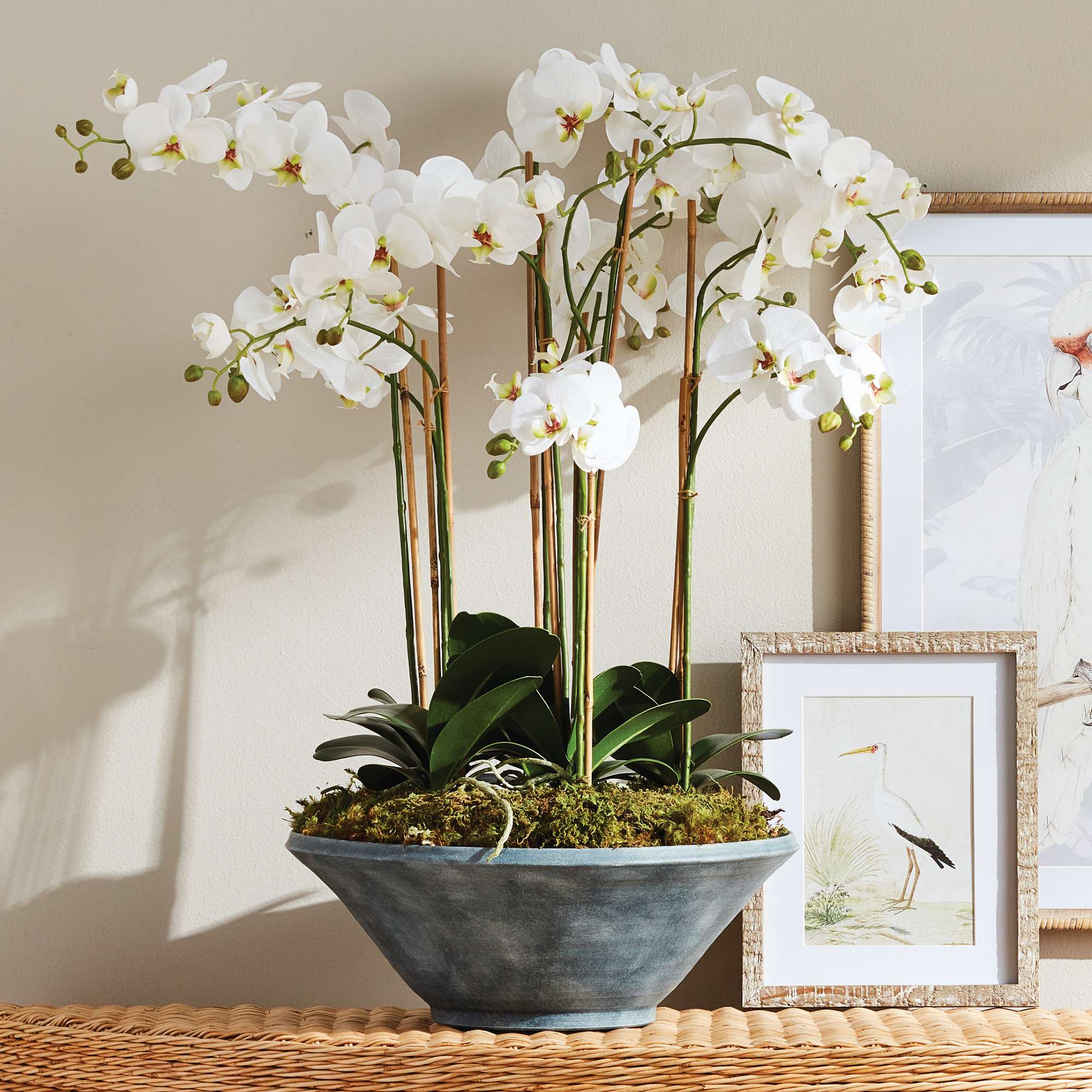 PHALAENOPSIS ORCHID BOWL DROP-IN 35" - Image 7