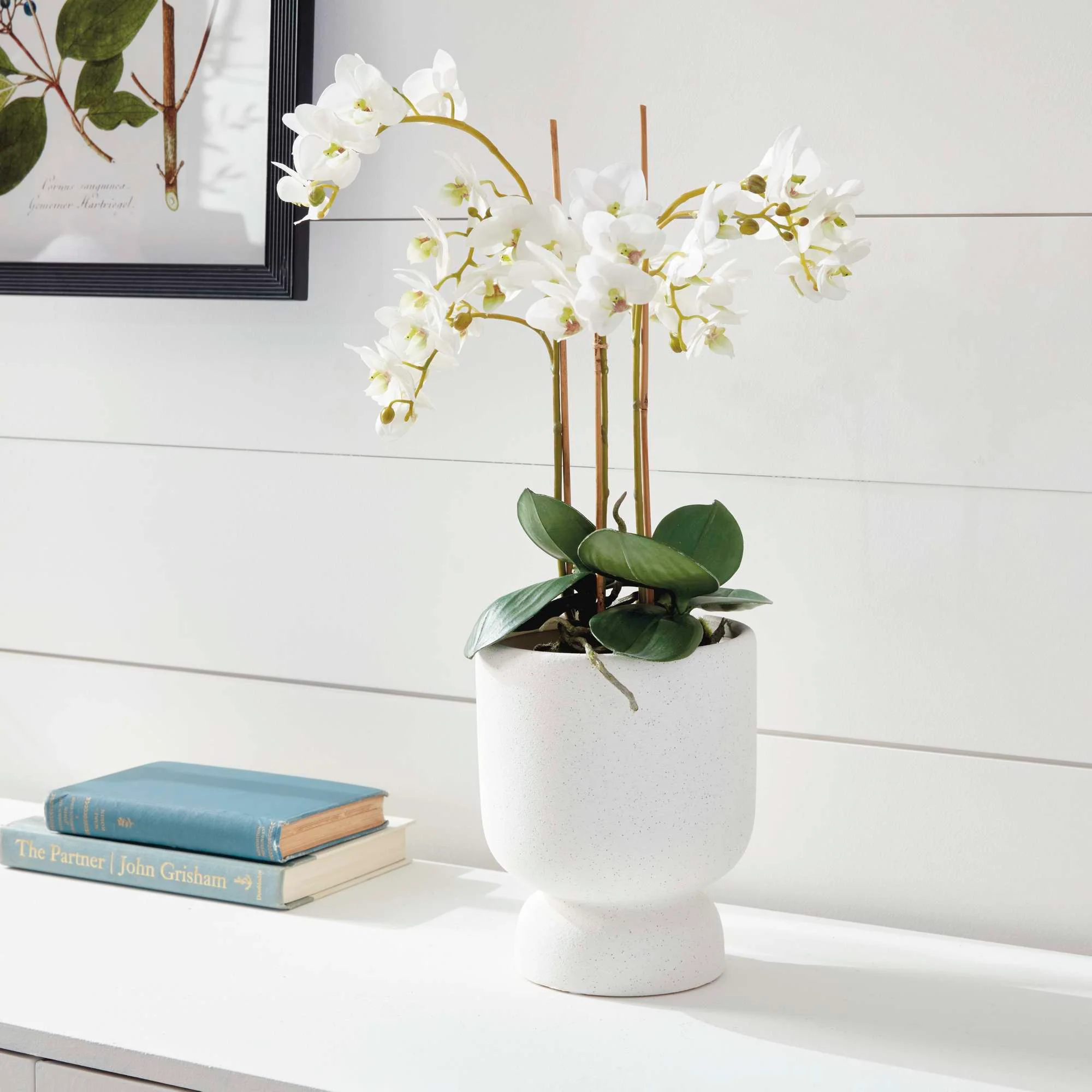 PHALAENOPSIS ORCHID DROP-IN 20" - Image 3