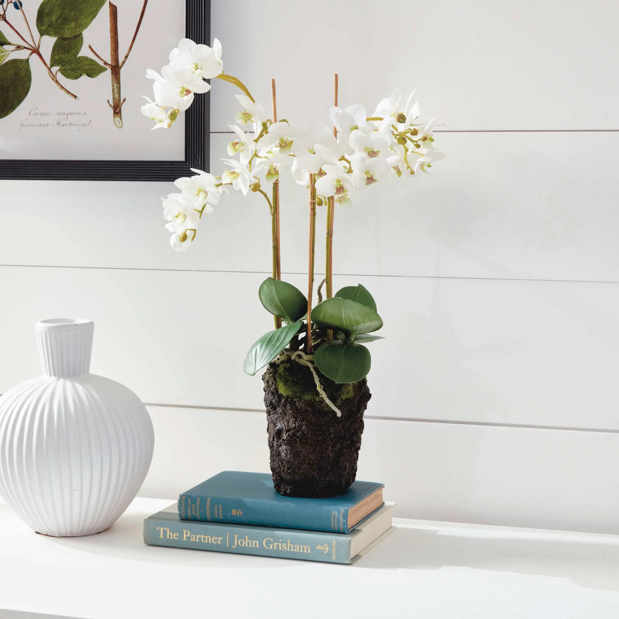PHALAENOPSIS ORCHID DROP-IN 20" - Image 7