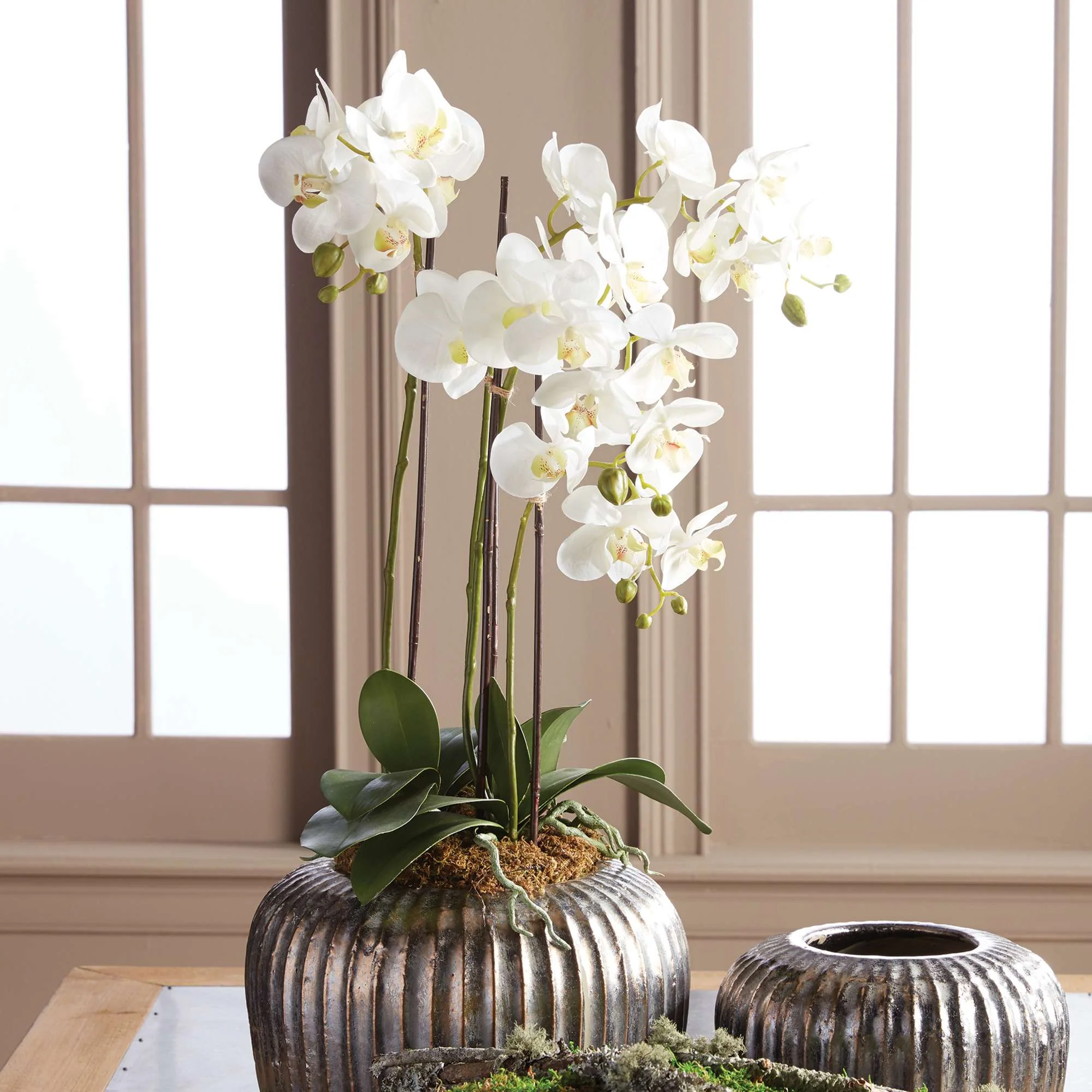 PHALAENOPSIS ORCHID DROP-IN 30" - Image 5