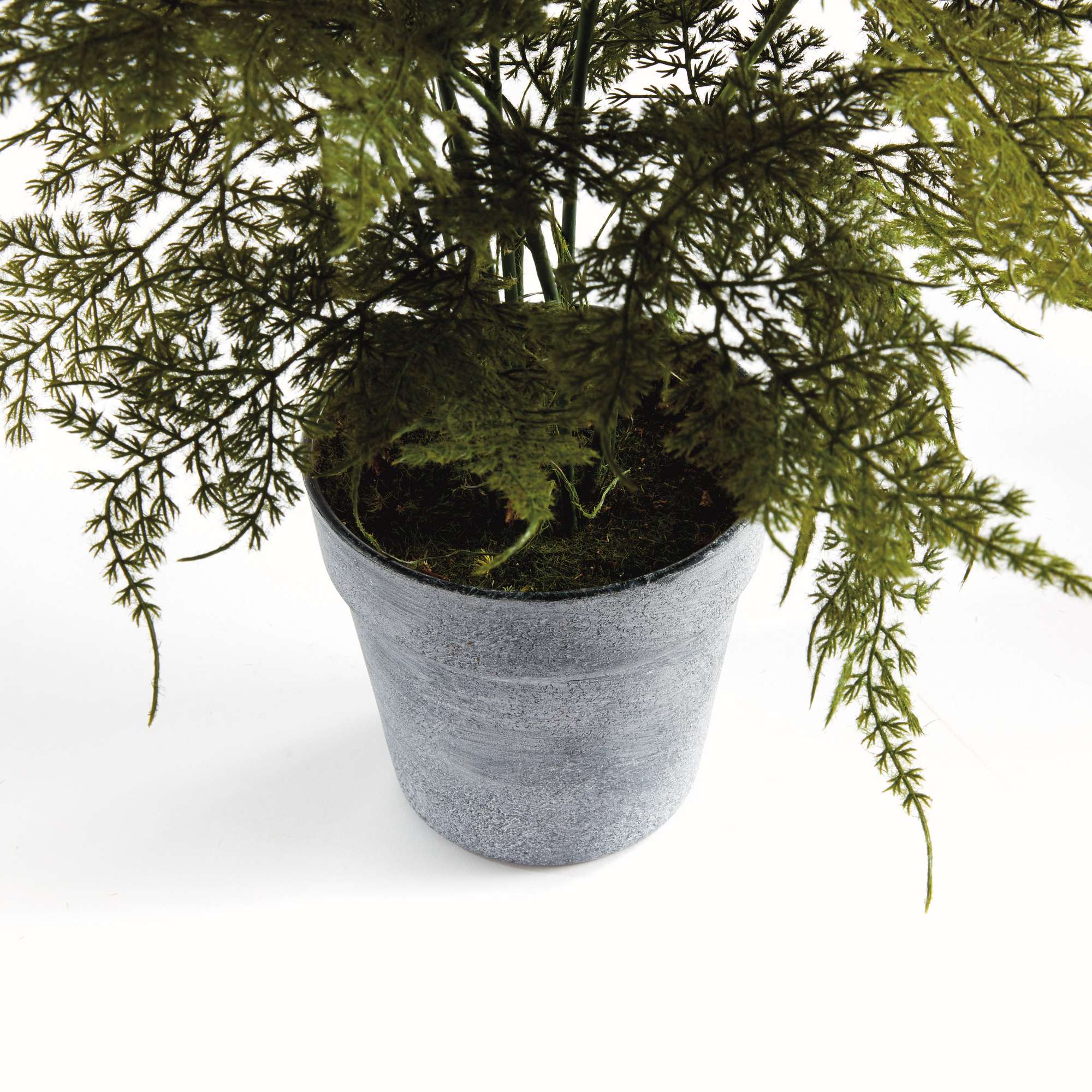 PLUMOSA FERN DROP-IN 21" - Image 4
