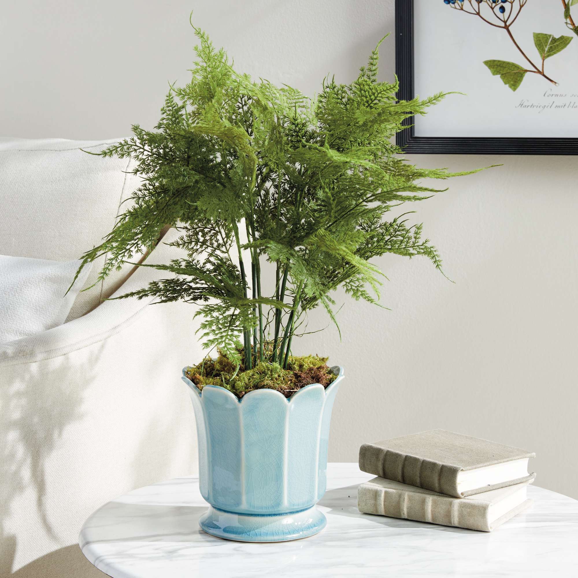PLUMOSA FERN DROP-IN 21" - Image 6