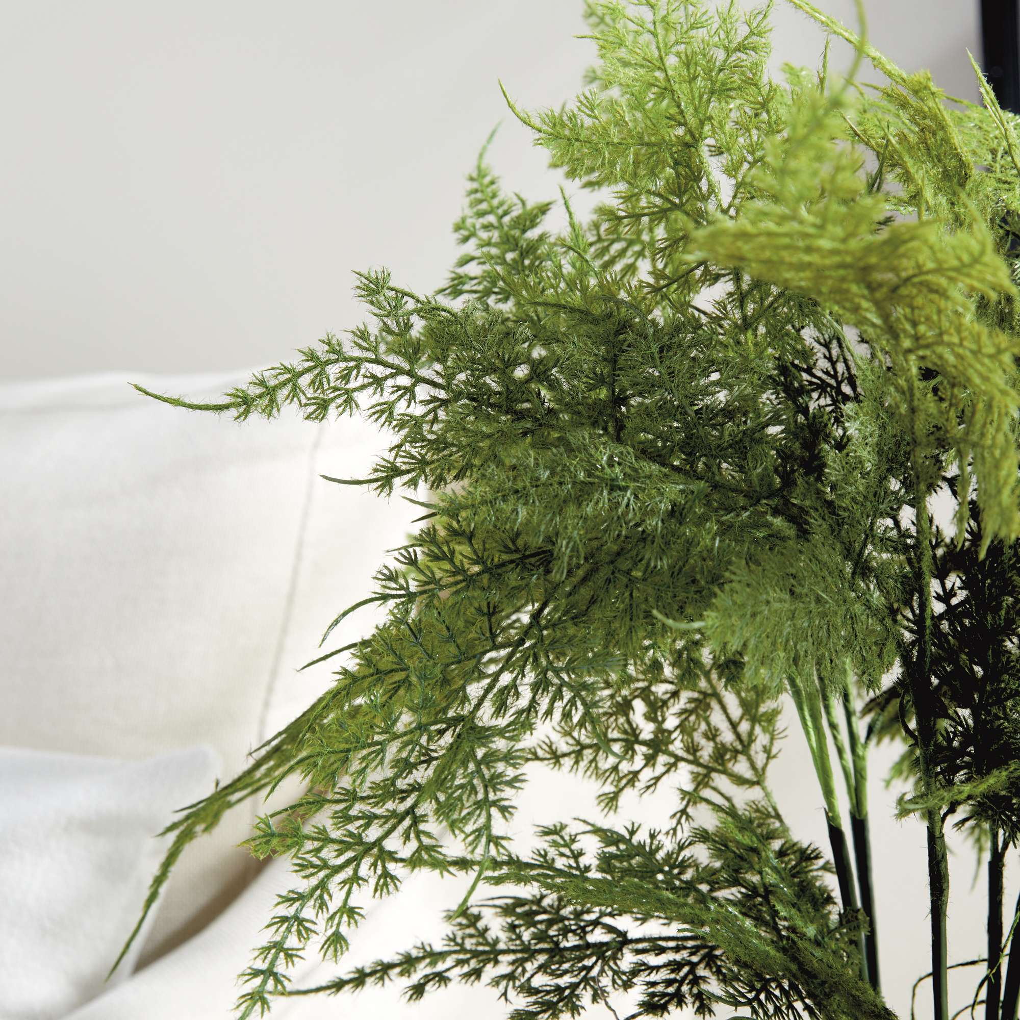 PLUMOSA FERN DROP-IN 21" - Image 8