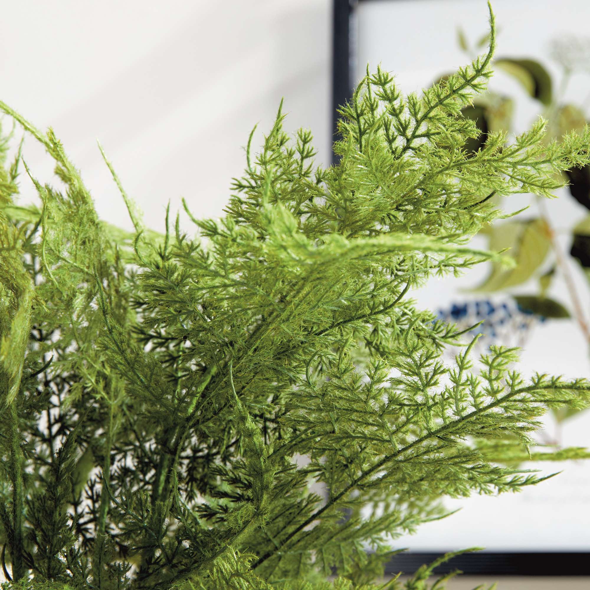 PLUMOSA FERN DROP-IN 21" - Image 9