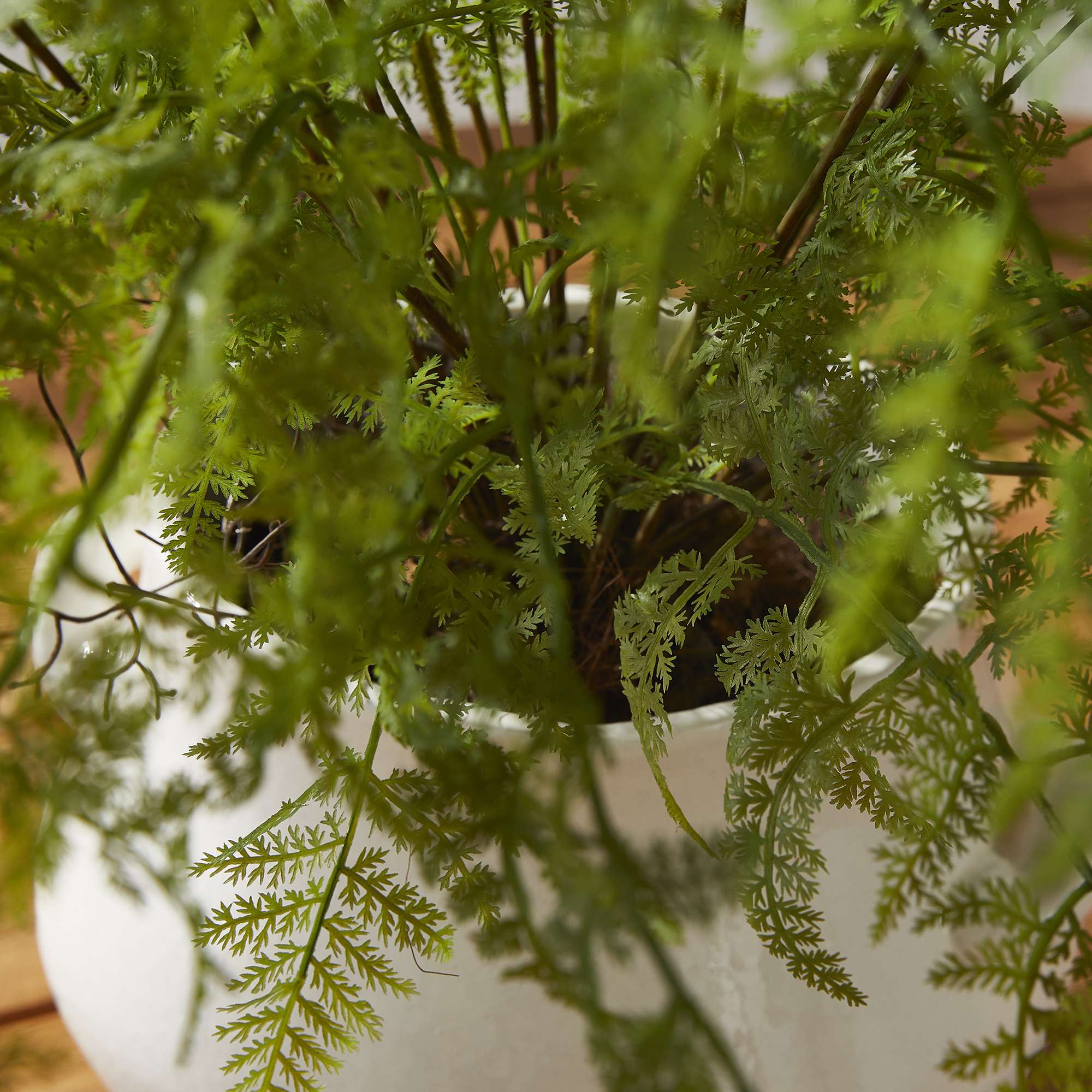 SOFT FERN DROP-IN 36" - Image 5