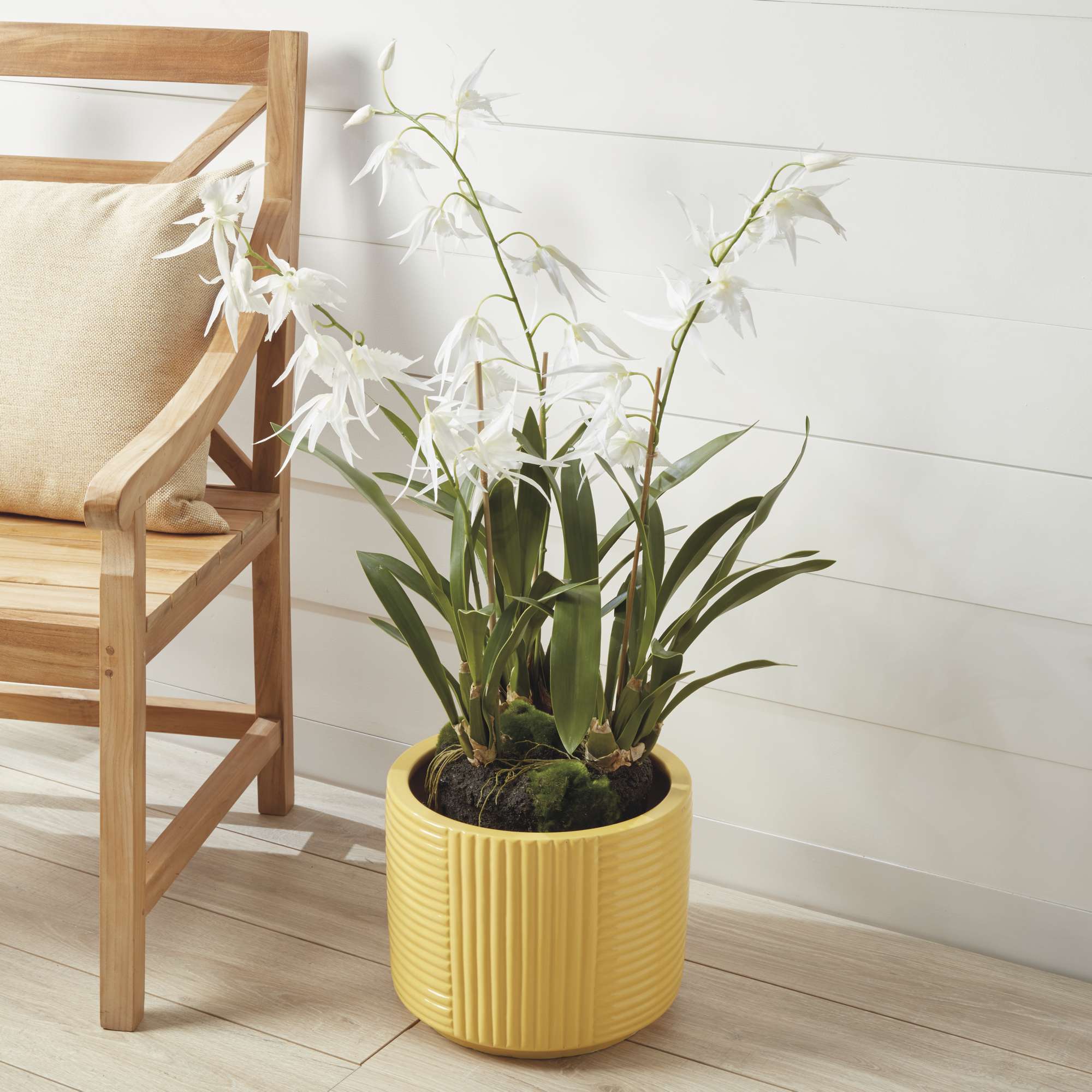 SPIDER ORCHID DROP-IN 44" - Image 3