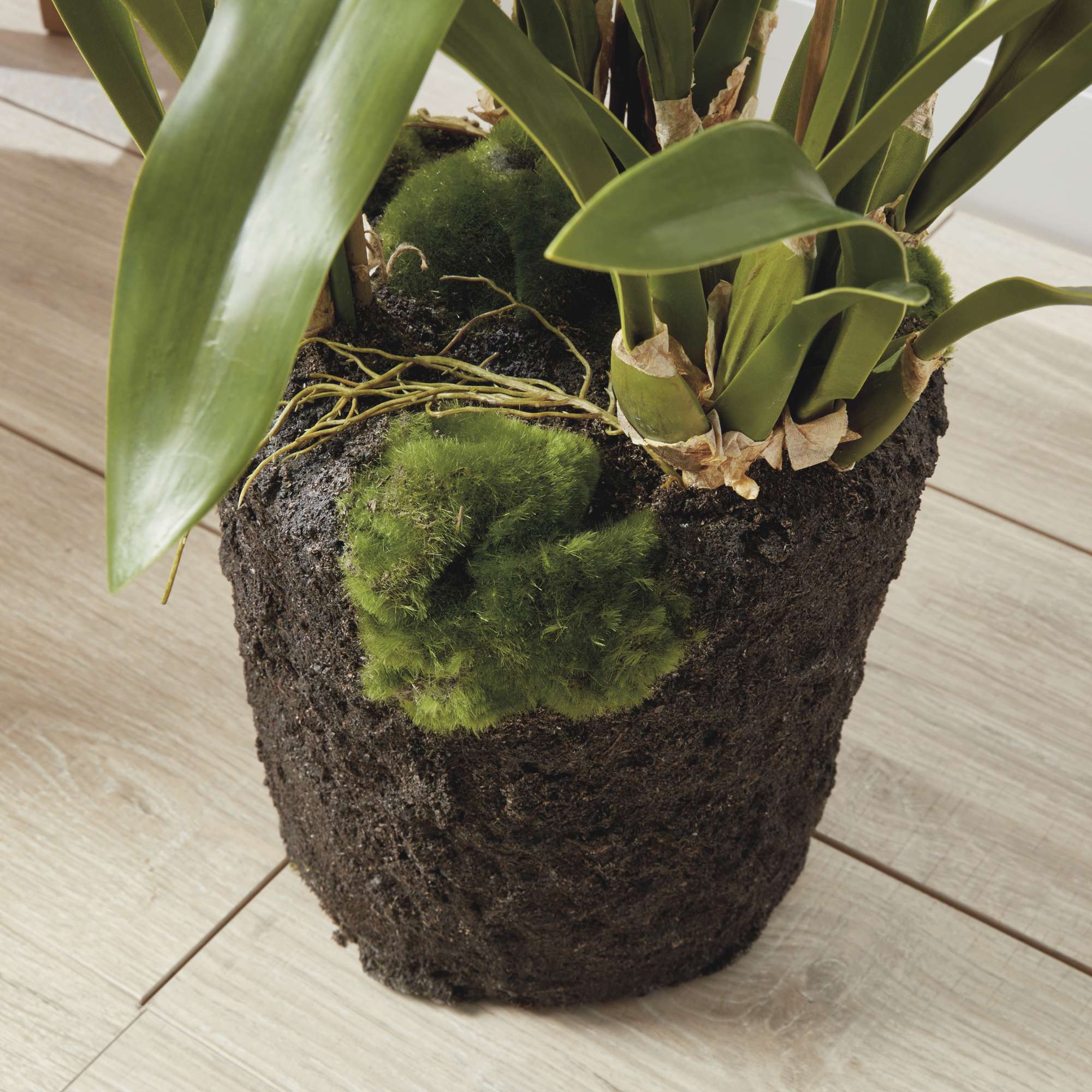 SPIDER ORCHID DROP-IN 44" - Image 4