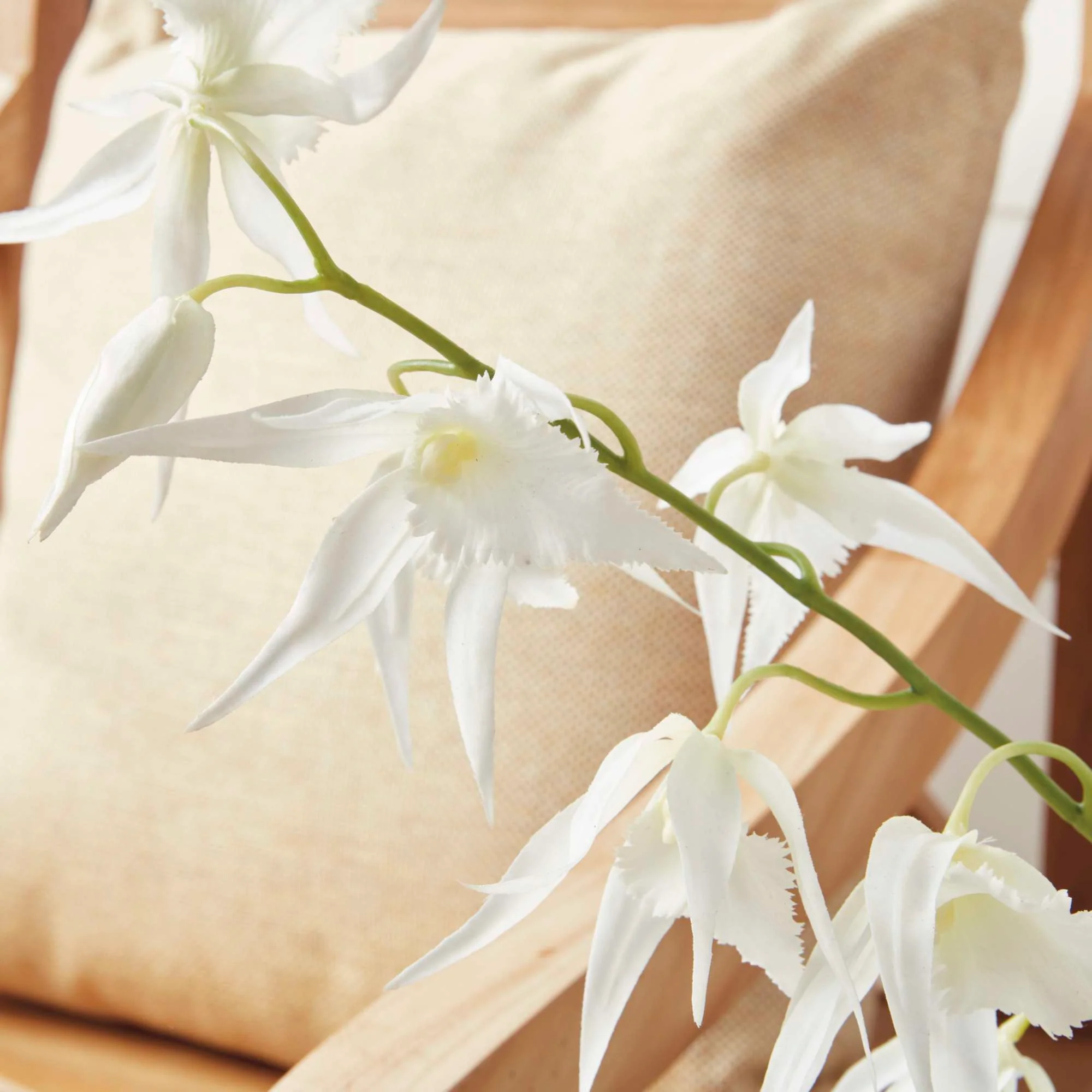 SPIDER ORCHID DROP-IN 44" - Image 6