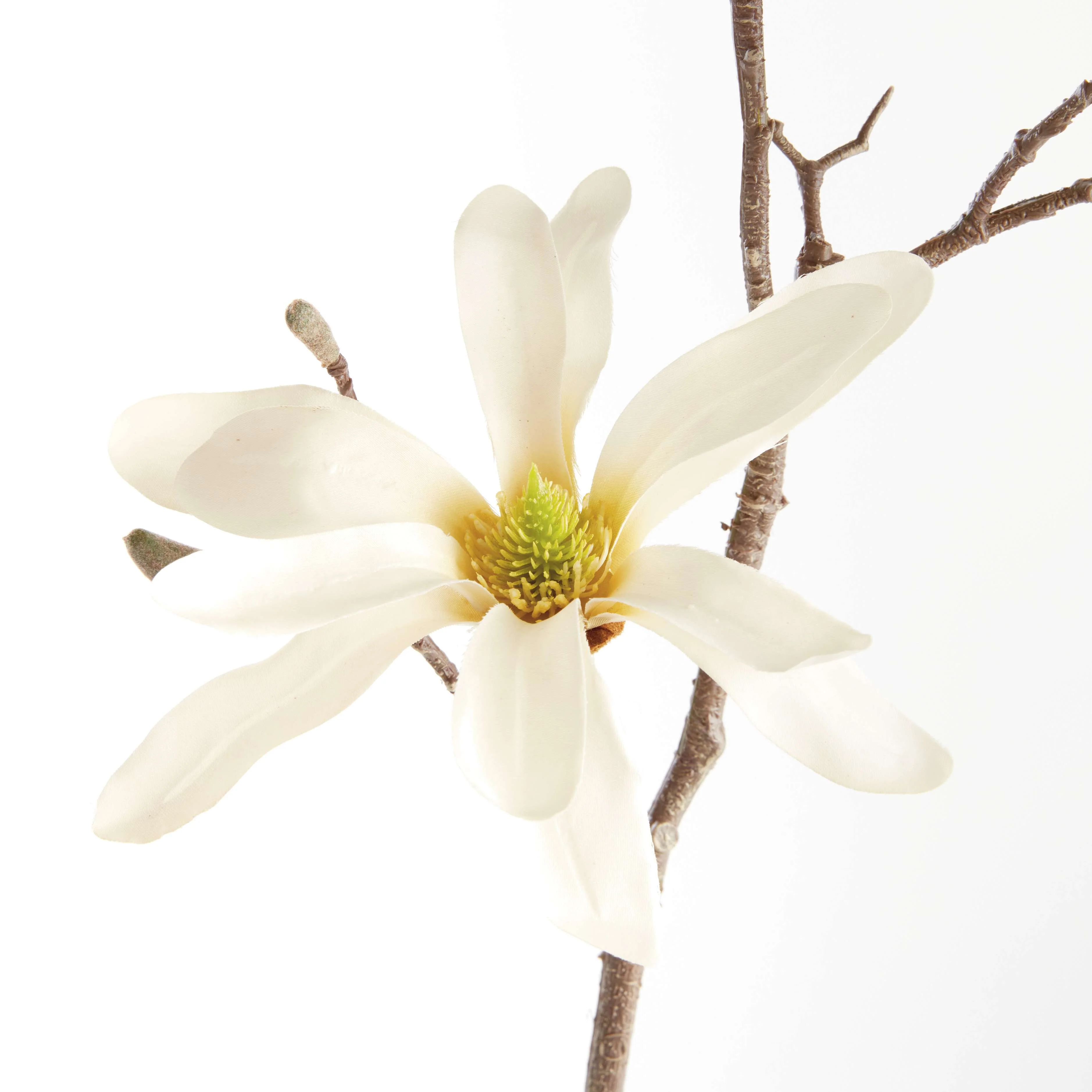 STAR MAGNOLIA BRANCHES 32", SET OF 6 - Image 2