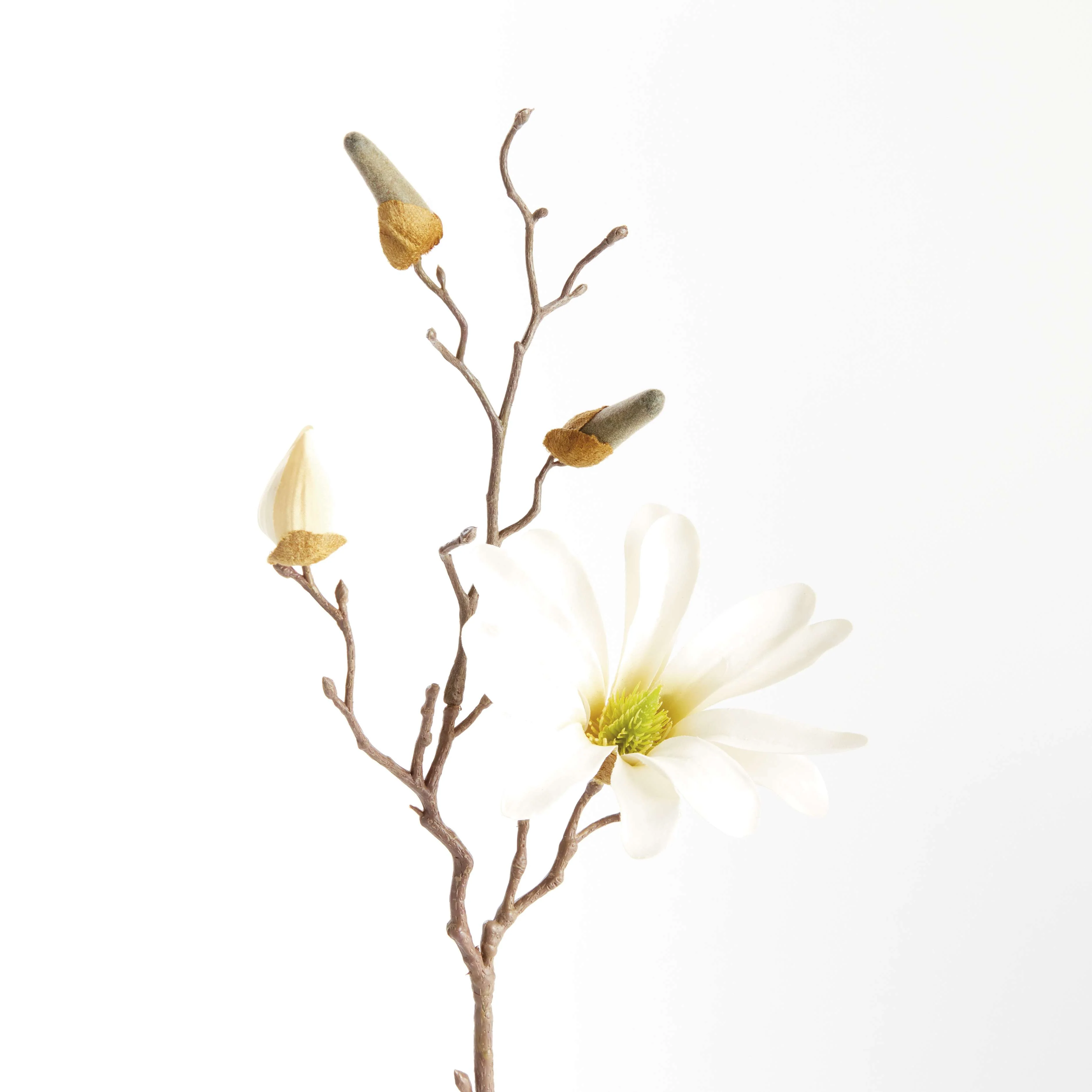 STAR MAGNOLIA STEMS 18", SET OF 6 - Image 2